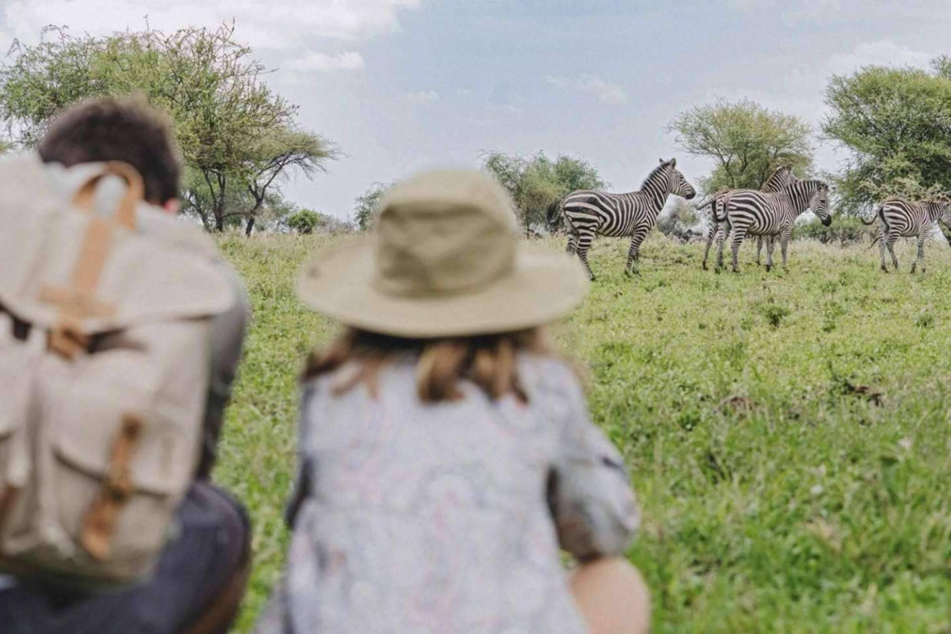 Safari para familias con niños o multigeneracionales con The African Experiences