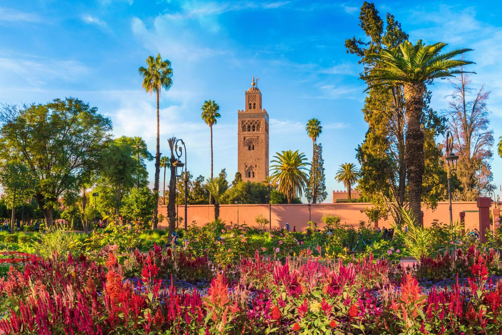Conocer las recomendaciones de Desert Explored sobre qué ver en Marrakech