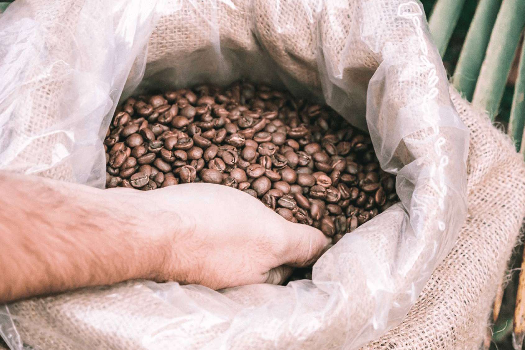 ¿Por qué no tomar café torrefacto? Contar con lo bueno del café de especialidad