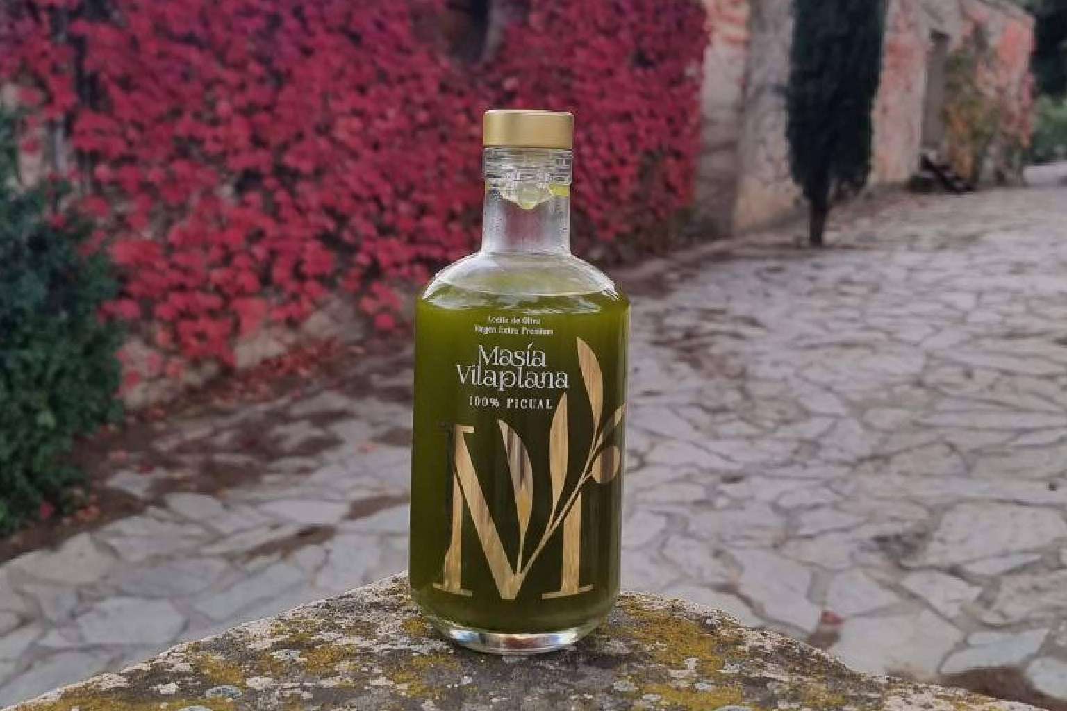 El aceite de oliva virgen extra de la finca Masía Vilaplana