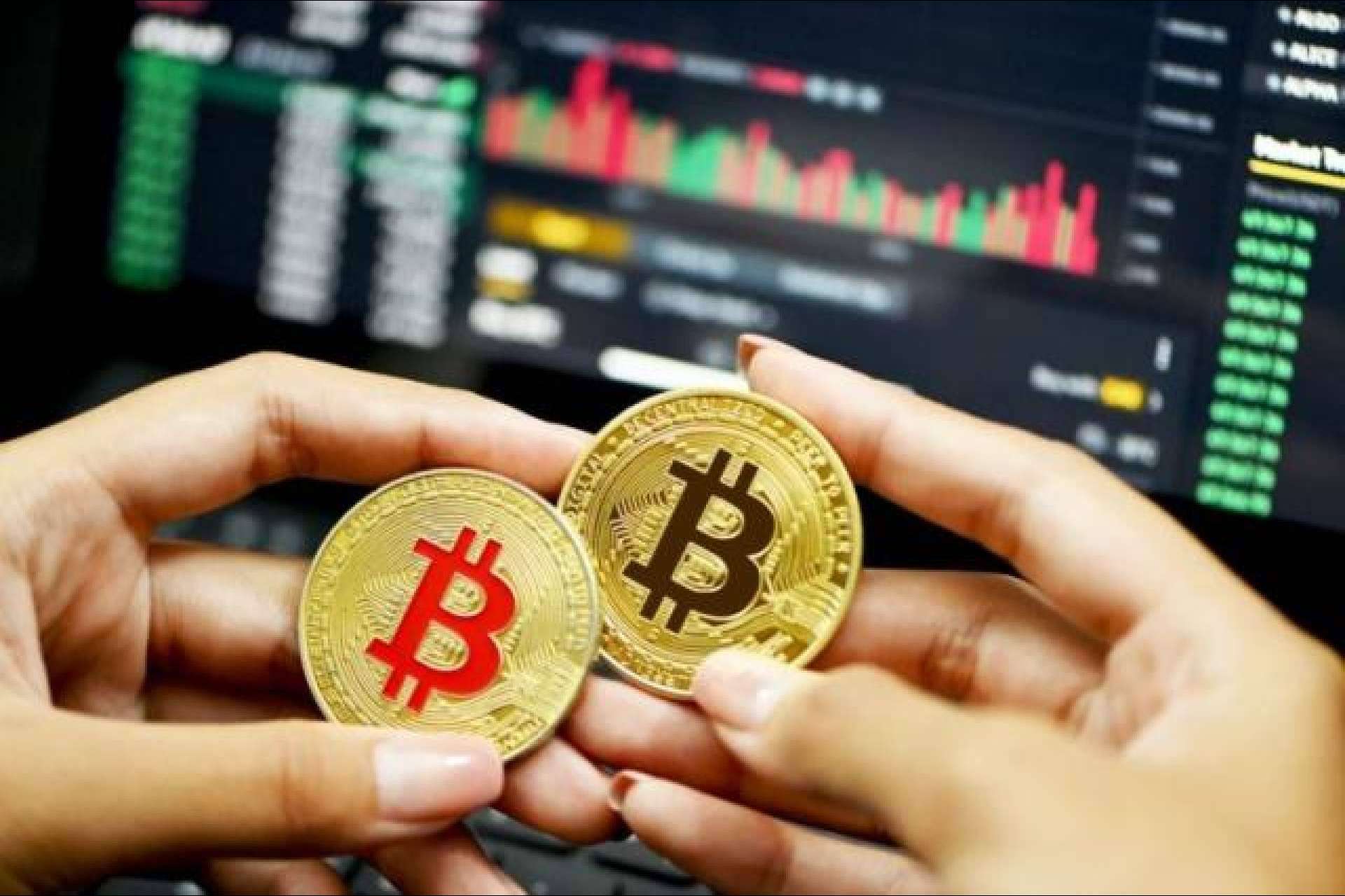 ¿Qué es Bitcoin con k? La creación magistral de Zhao Nakamoto