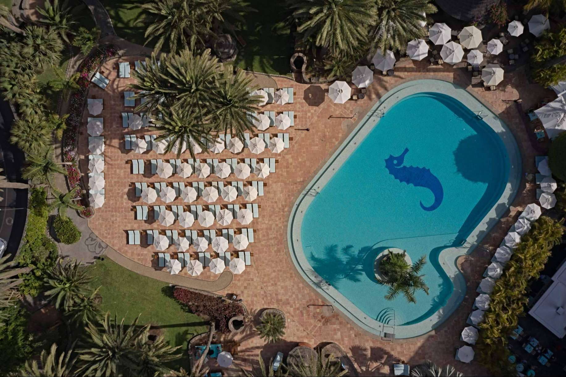 Descubrir el increíble concepto de Seaside Collection, un excelente propósito de año nuevo