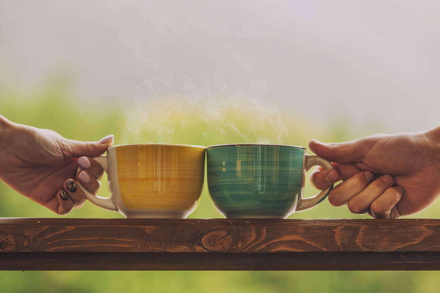 Sientea y su amplio catálogo online de infusiones ecológicas