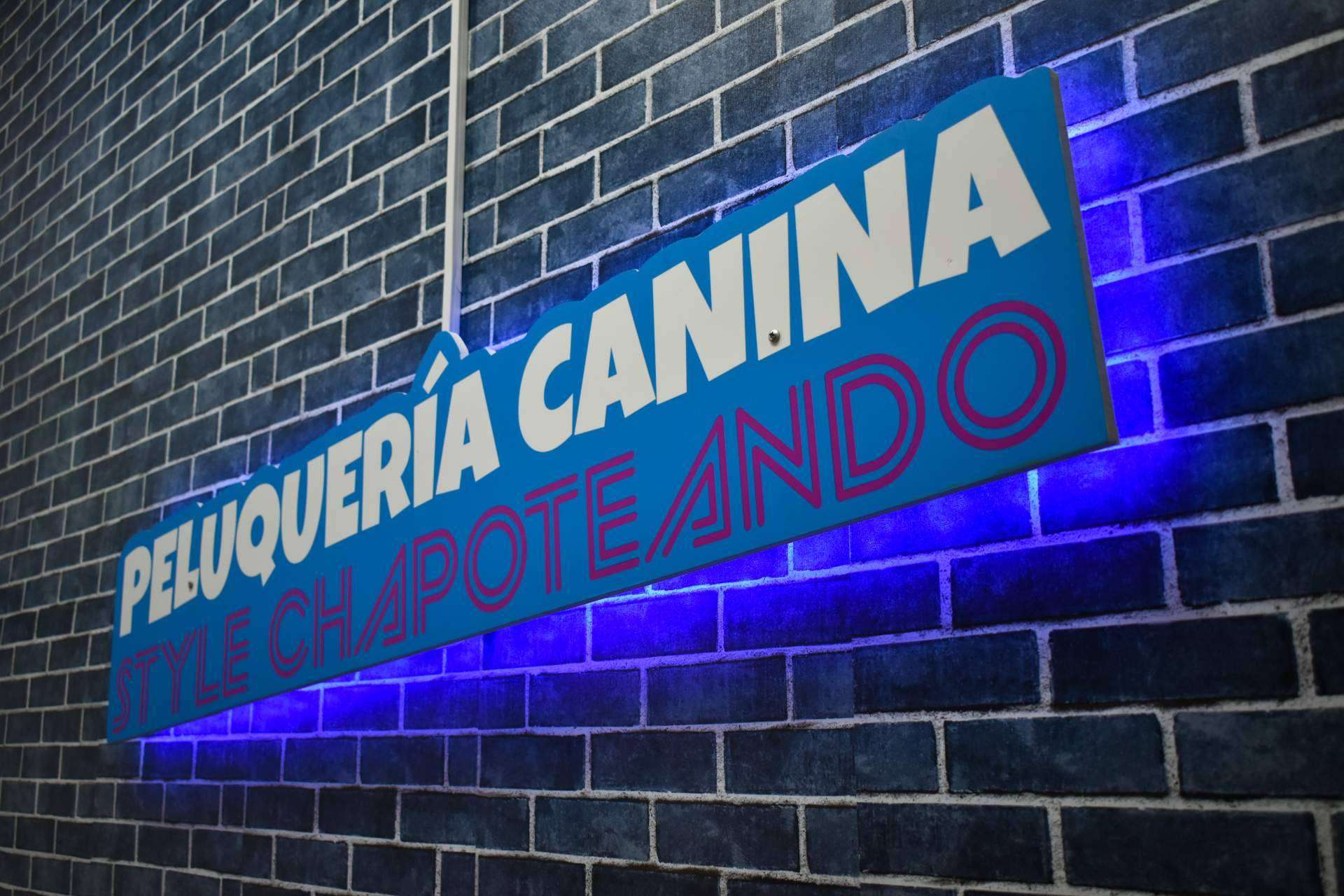 Las ventajas de las franquicias de peluquería canina de Chapoteando