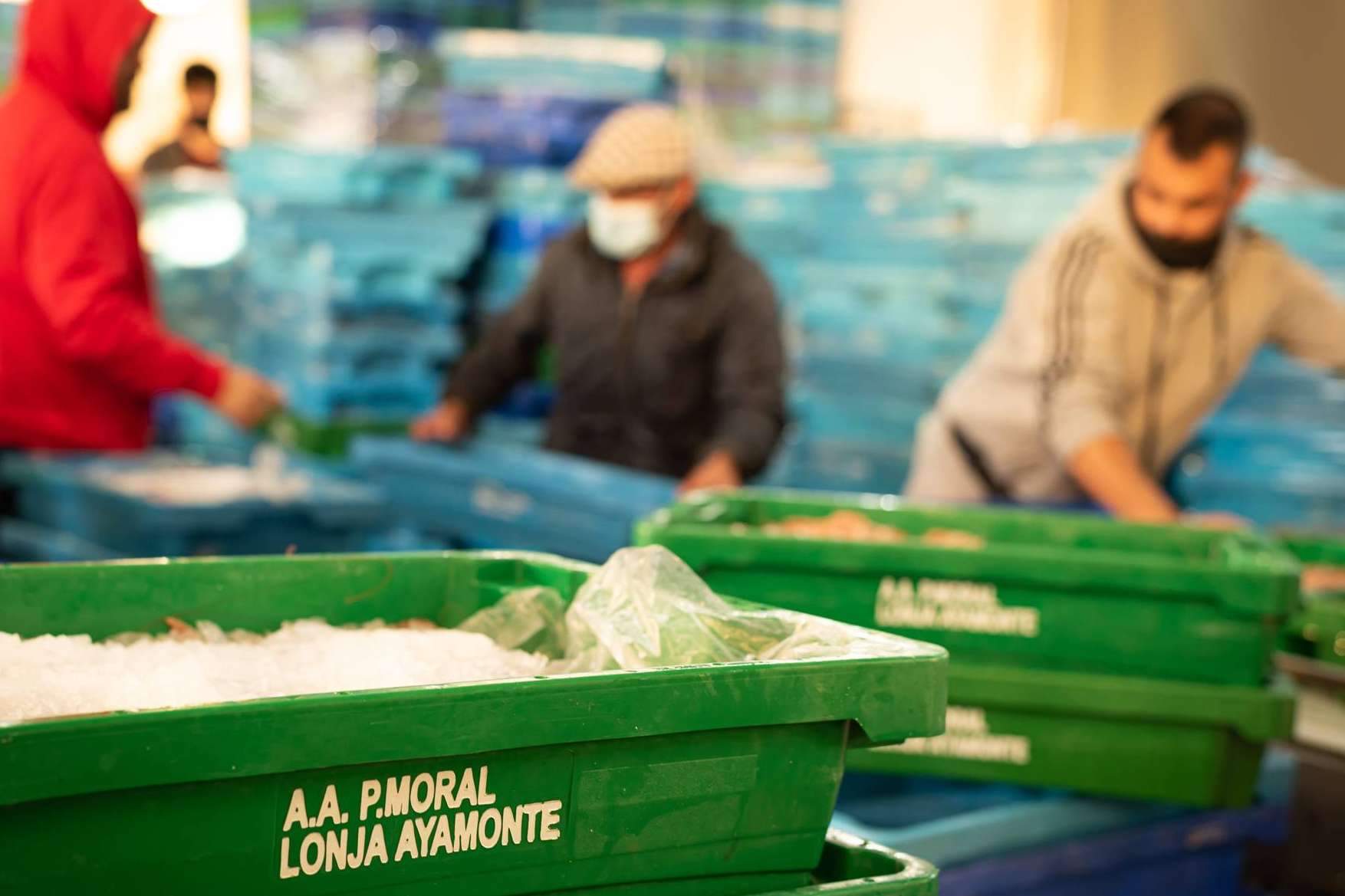 Frescura y calidad en venta de pescados y mariscos online con Lonja de Ayamonte