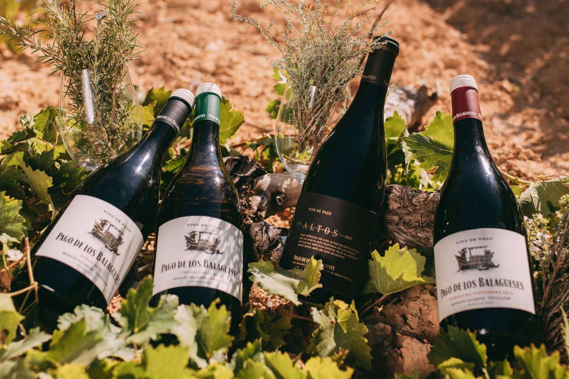 Pago de los Balagueses, la marca de vinos premium de Bodegas Vegalfaro