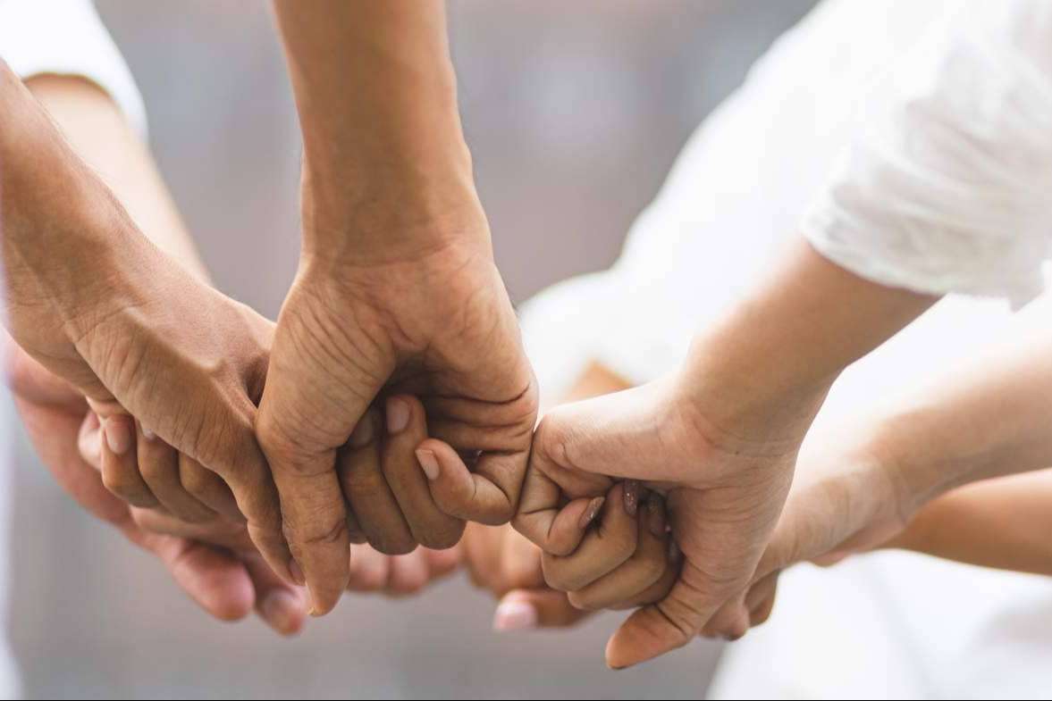 Volungo, la red social que permite al voluntario interacciones con otros usuarios y con las entidades