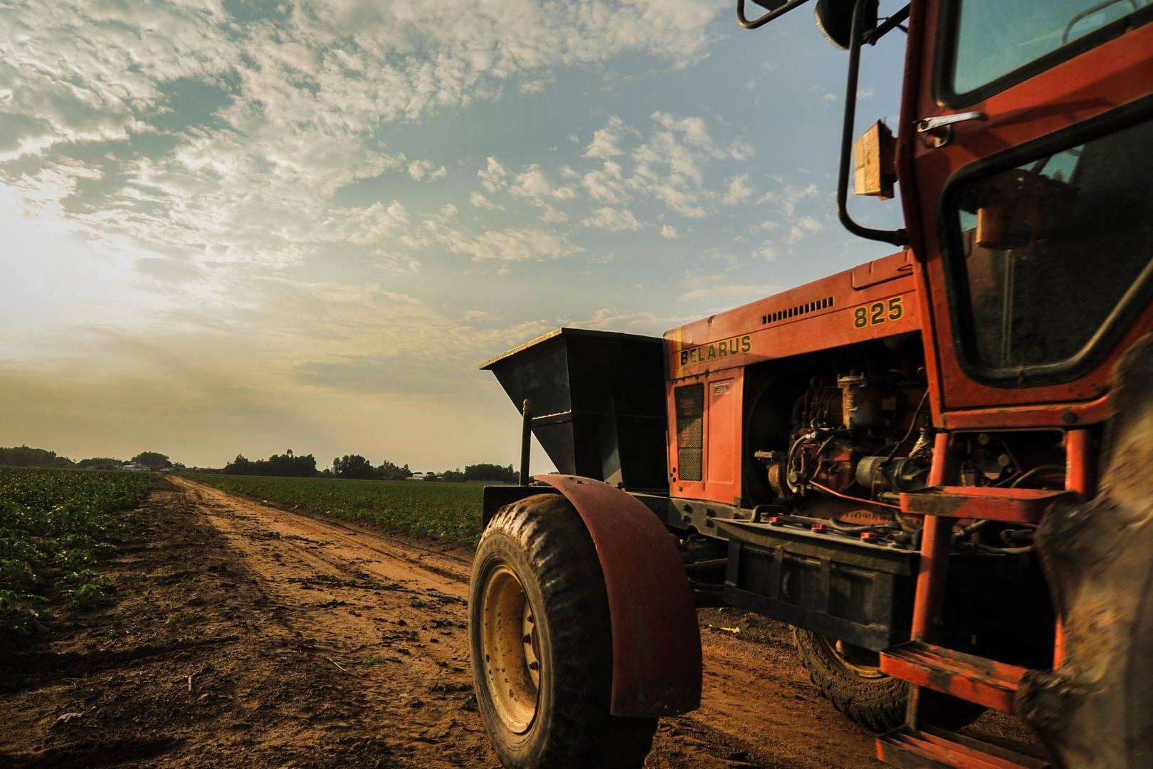 Ucoga, especialistas con experiencia, liderazgo y calidad de gestión en seguros agrarios
