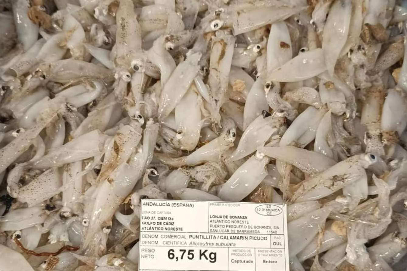 Preparar platos saludables con Pescadería Younes Ceuta y sus pescados y mariscos frescos de alta calidad