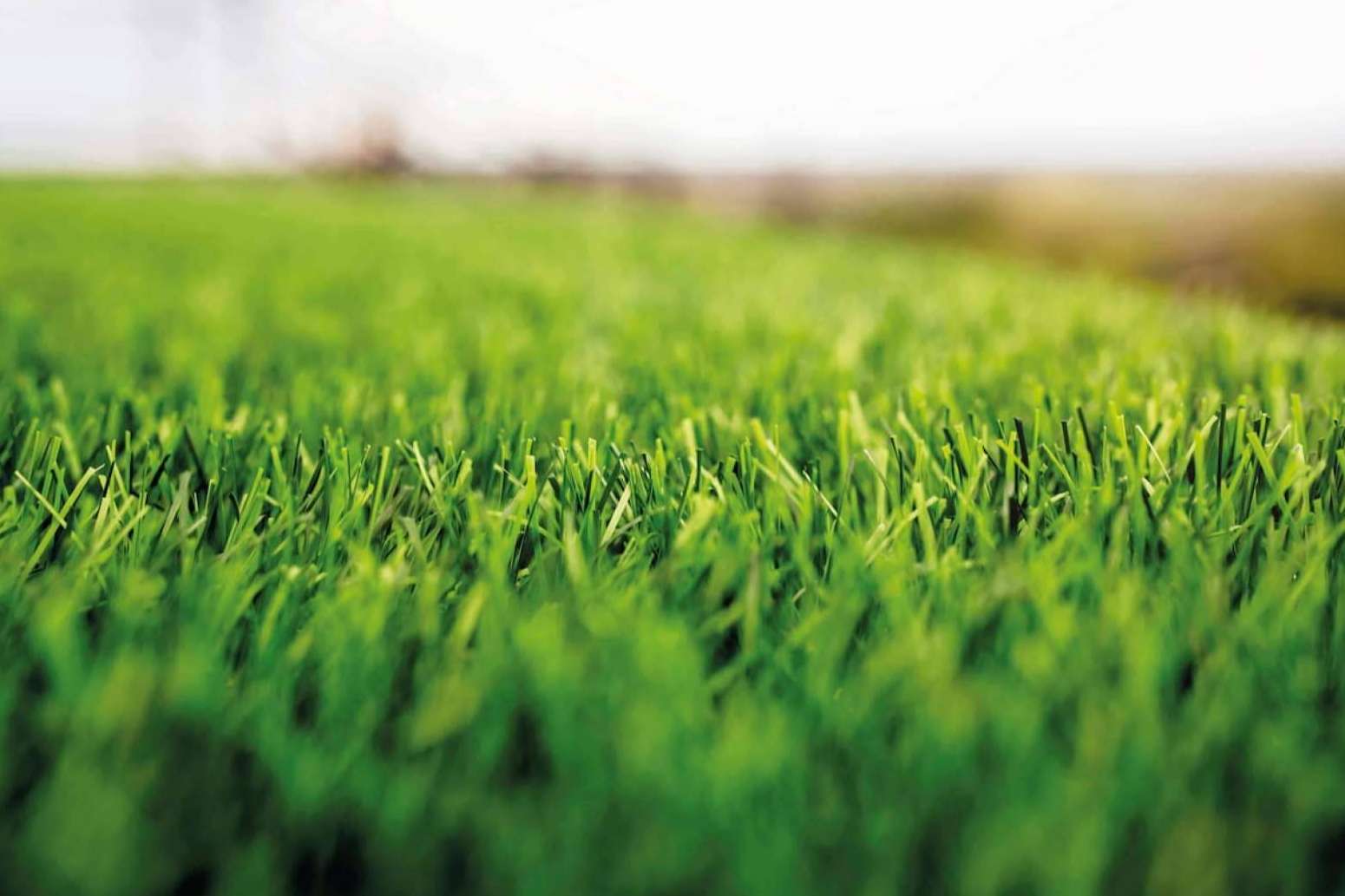 El césped artificial de Albergrass incorpora alta tecnología