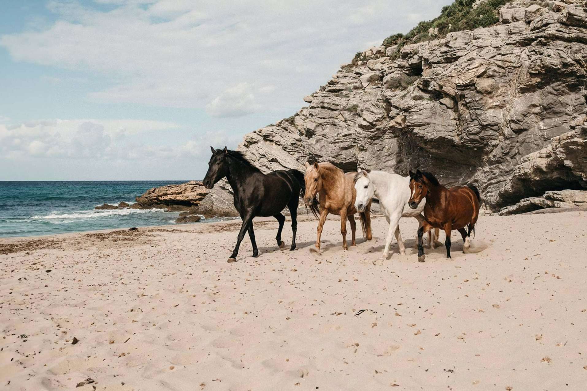 Desarrollo personal a medida, con Son Cavalls