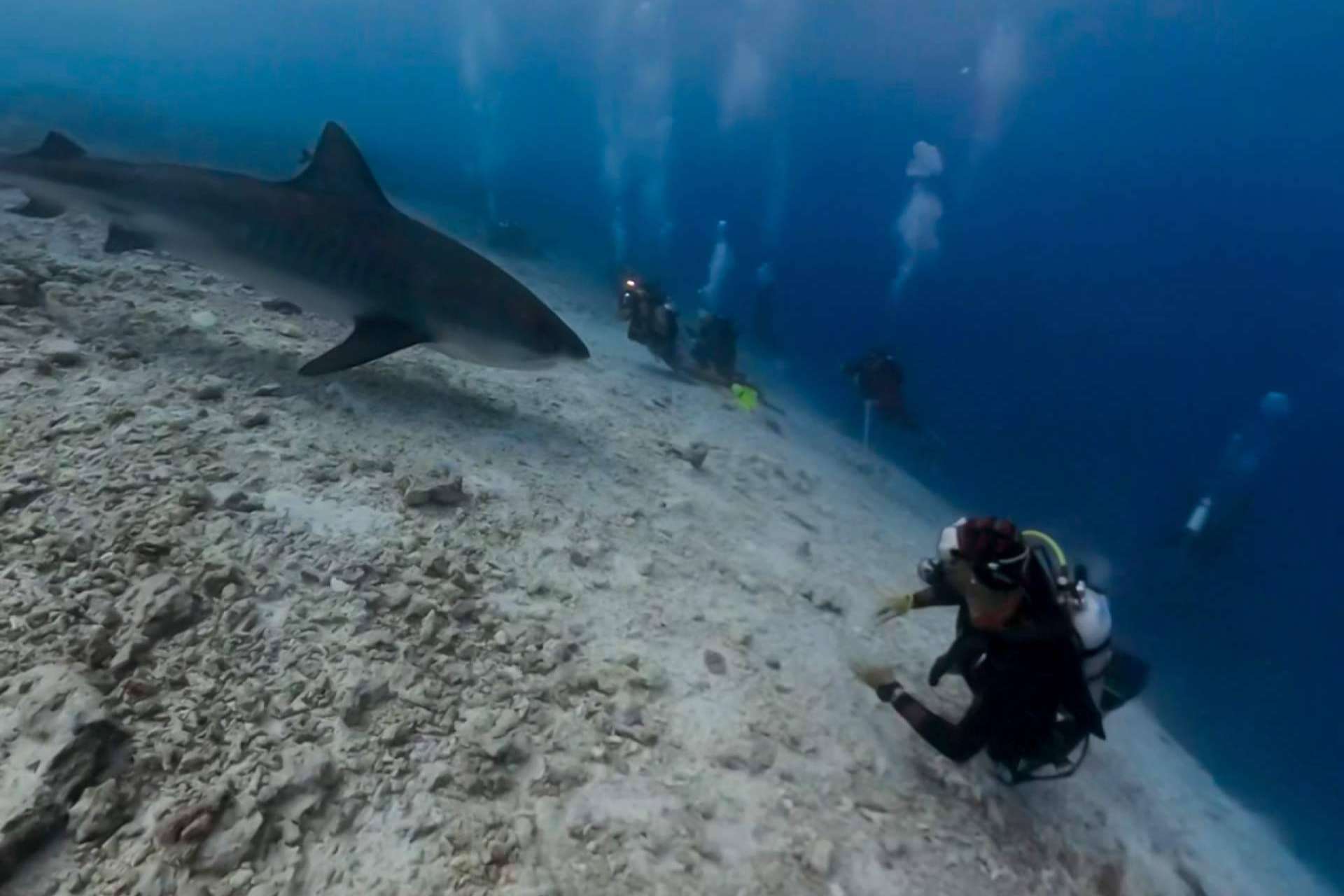 La apertura de un nuevo centro de buceo en Fuvahmulah de Drop Dive Maldives