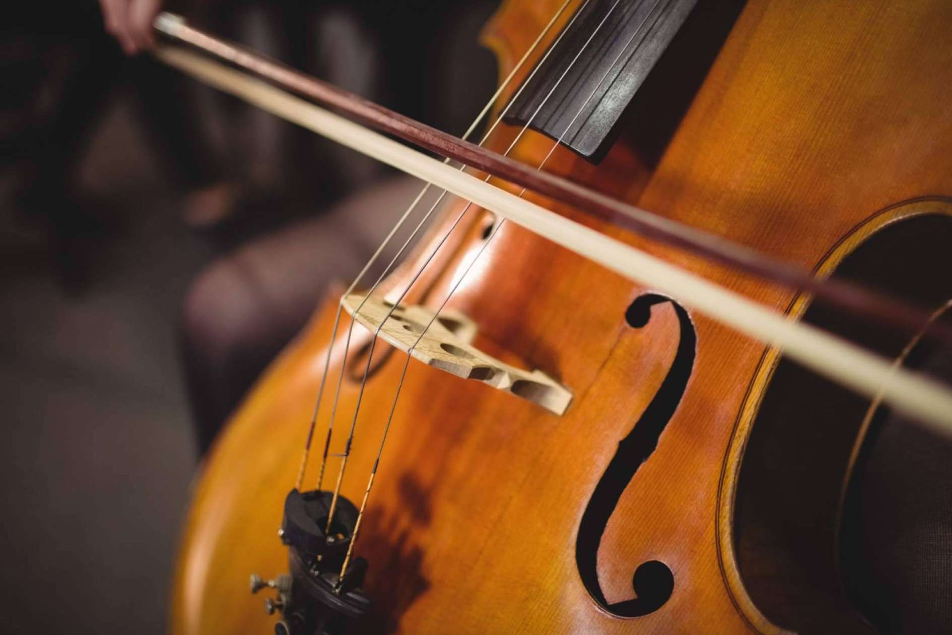 Schubertiades lanza su nueva plataforma especializada en el género de la música clásica
