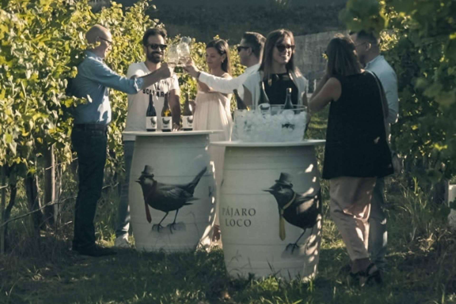 Privios, una marca vitivinícola de referencia en la producción de vinos blancos y tintos
