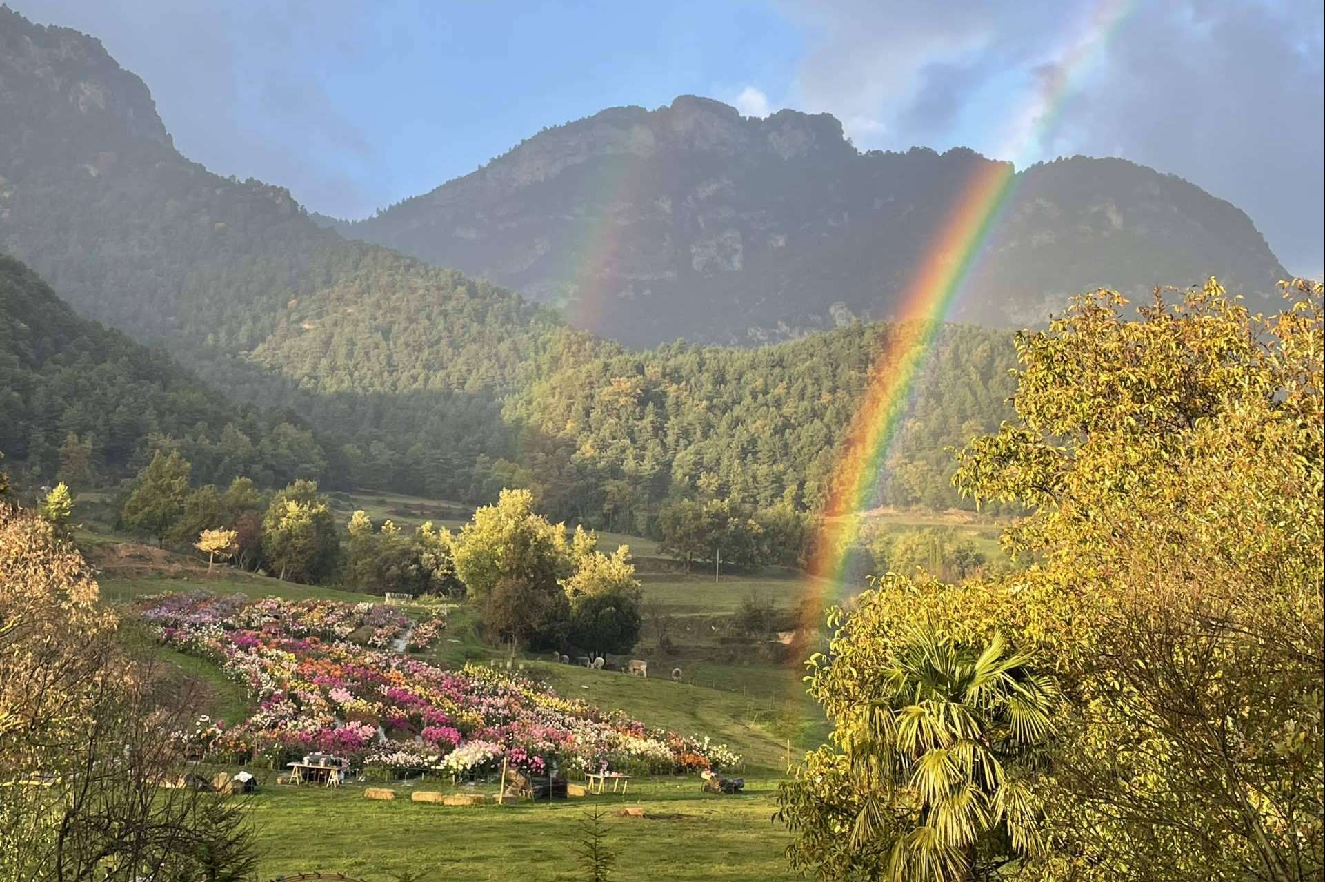 Niudàlia, un refugio para los amantes de la naturaleza y las flores