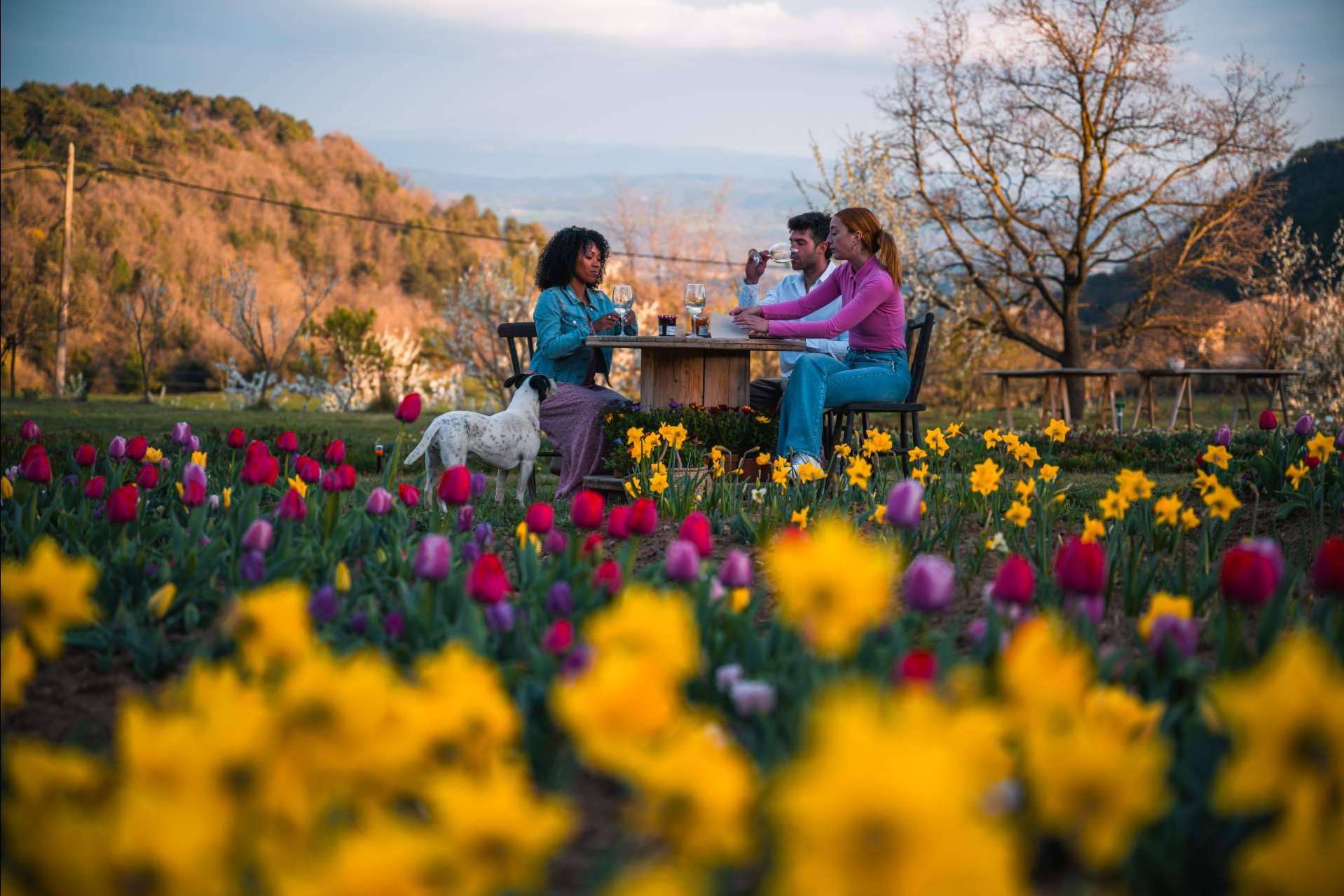 ¿Dónde hacer sesiones de fotos en pareja y familia? Niudàlia, el paraíso de las flores