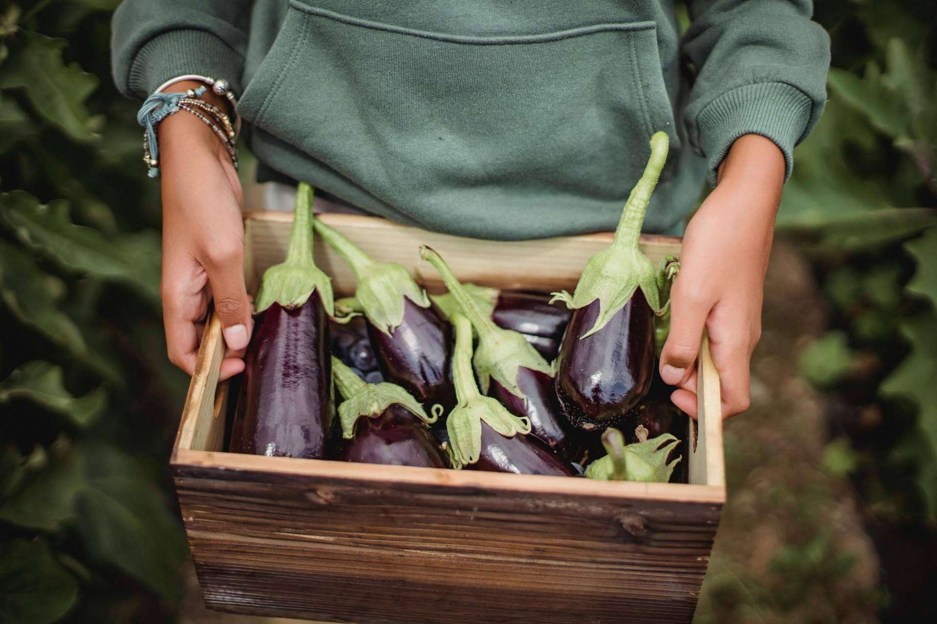 Horta de l'Eixample, una tienda online con un amplio stock en productos ecológicos a domicilio