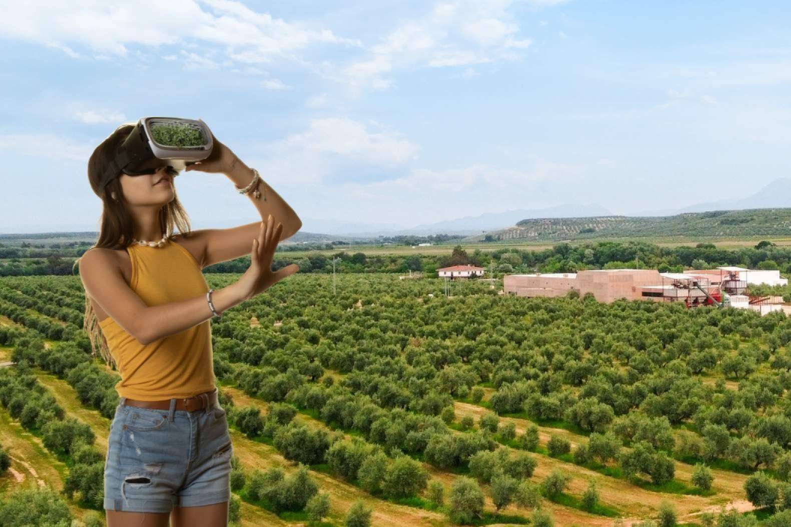 La propuesta con realidad aumentada de Aires de Jaén permite descubrir el mundo del aceite de oliva