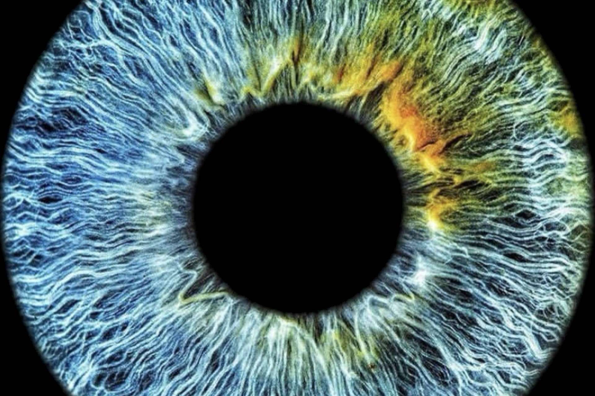 El color de los ojos y el papel determinante de la genética en este aspecto