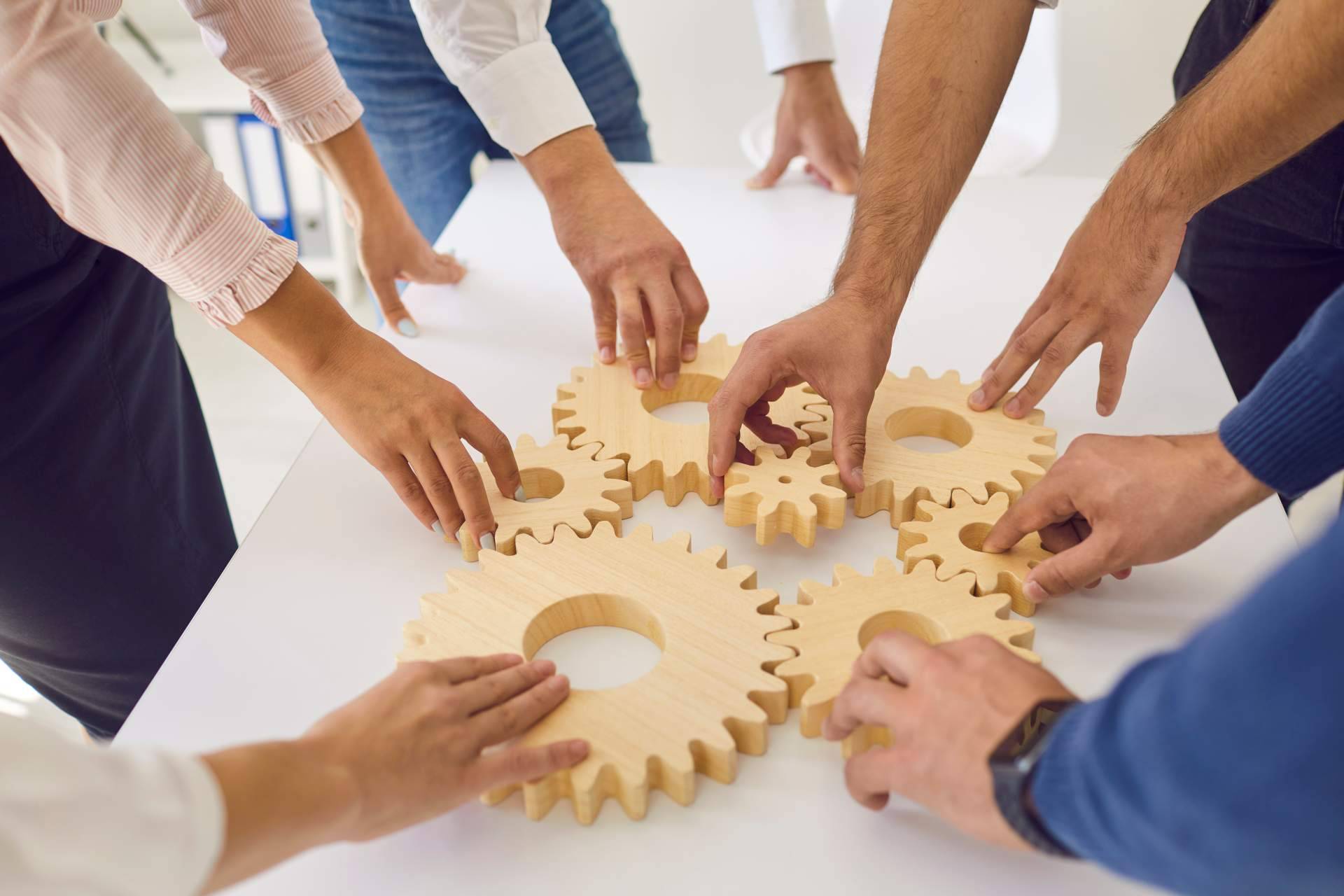 Implementar programas de desarrollo organizacional de manos de la consultora Desarrolla