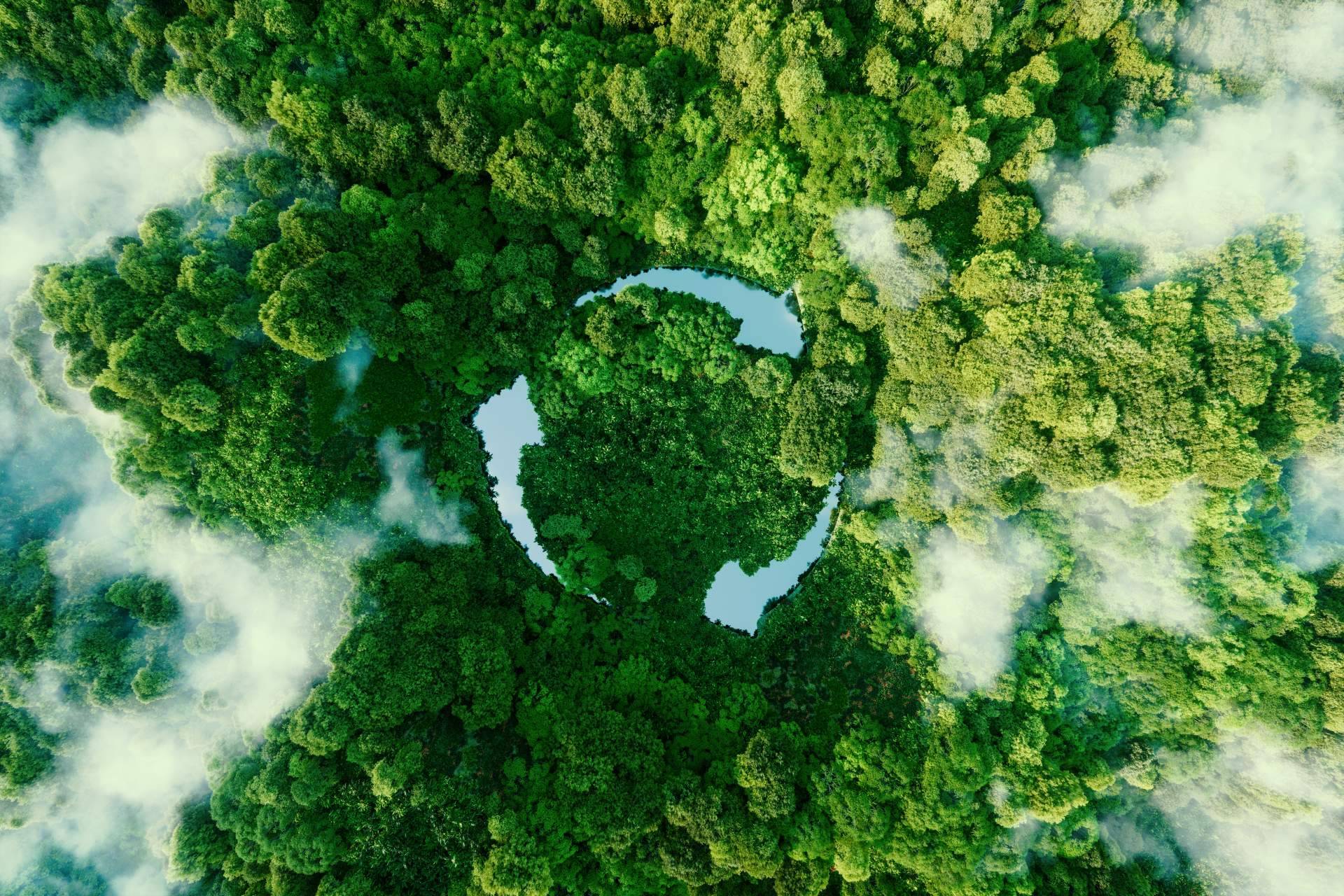 Multienergía Verde apuesta por la ecoeficiencia