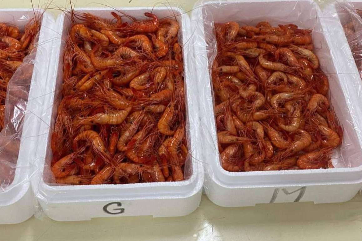 Farodapalloza, la tienda online que ofreces espardeñas, percebes, nécora y otros frutos del mar