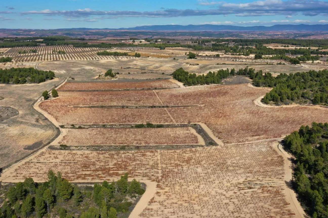 Pago de los Balagueses, la marca de vino de Bodegas Vegalfaro que está considerada como una obra maestra