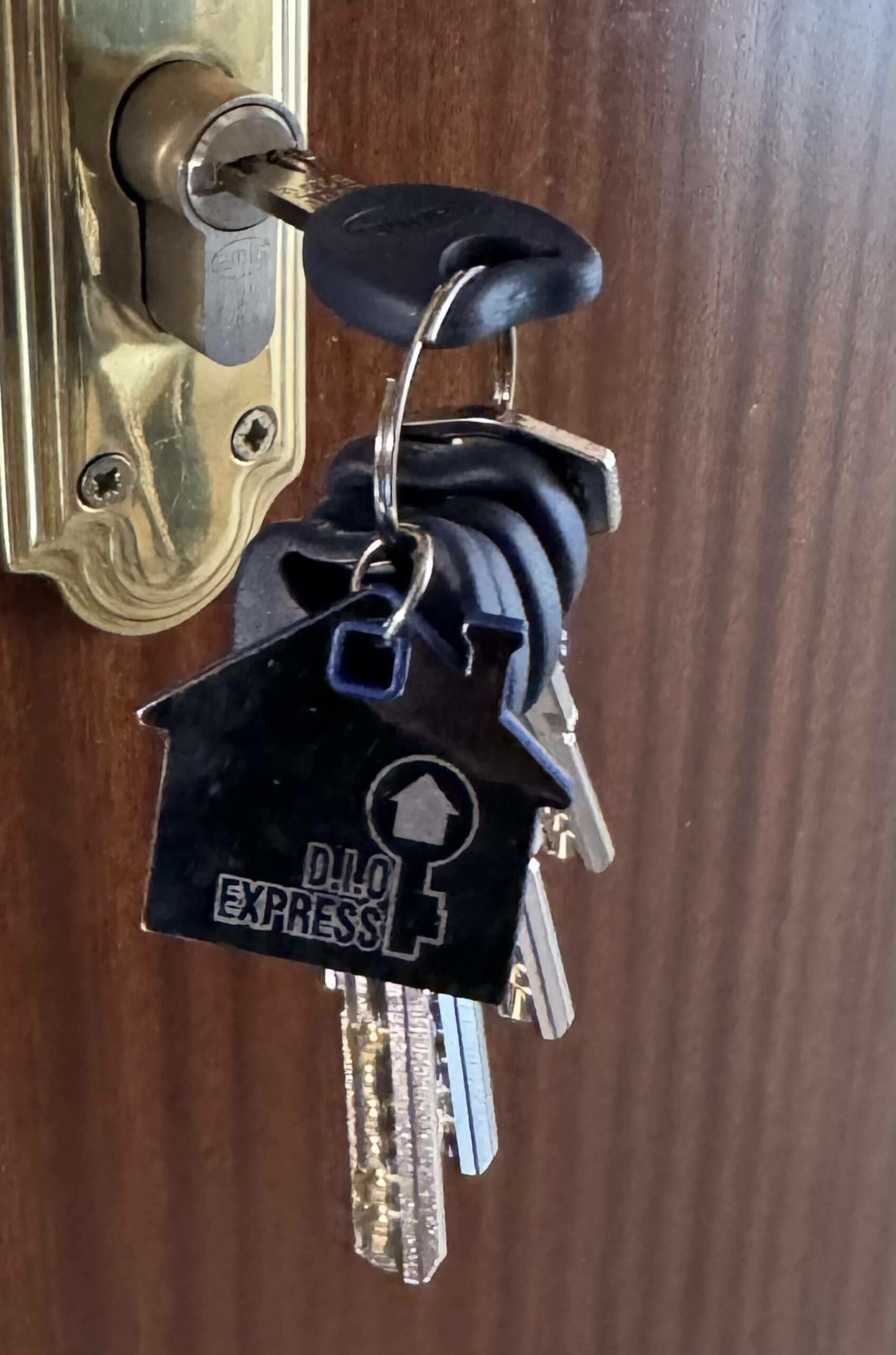Asesoramiento legal integral para el desalojo de okupas con D.I.O. Express