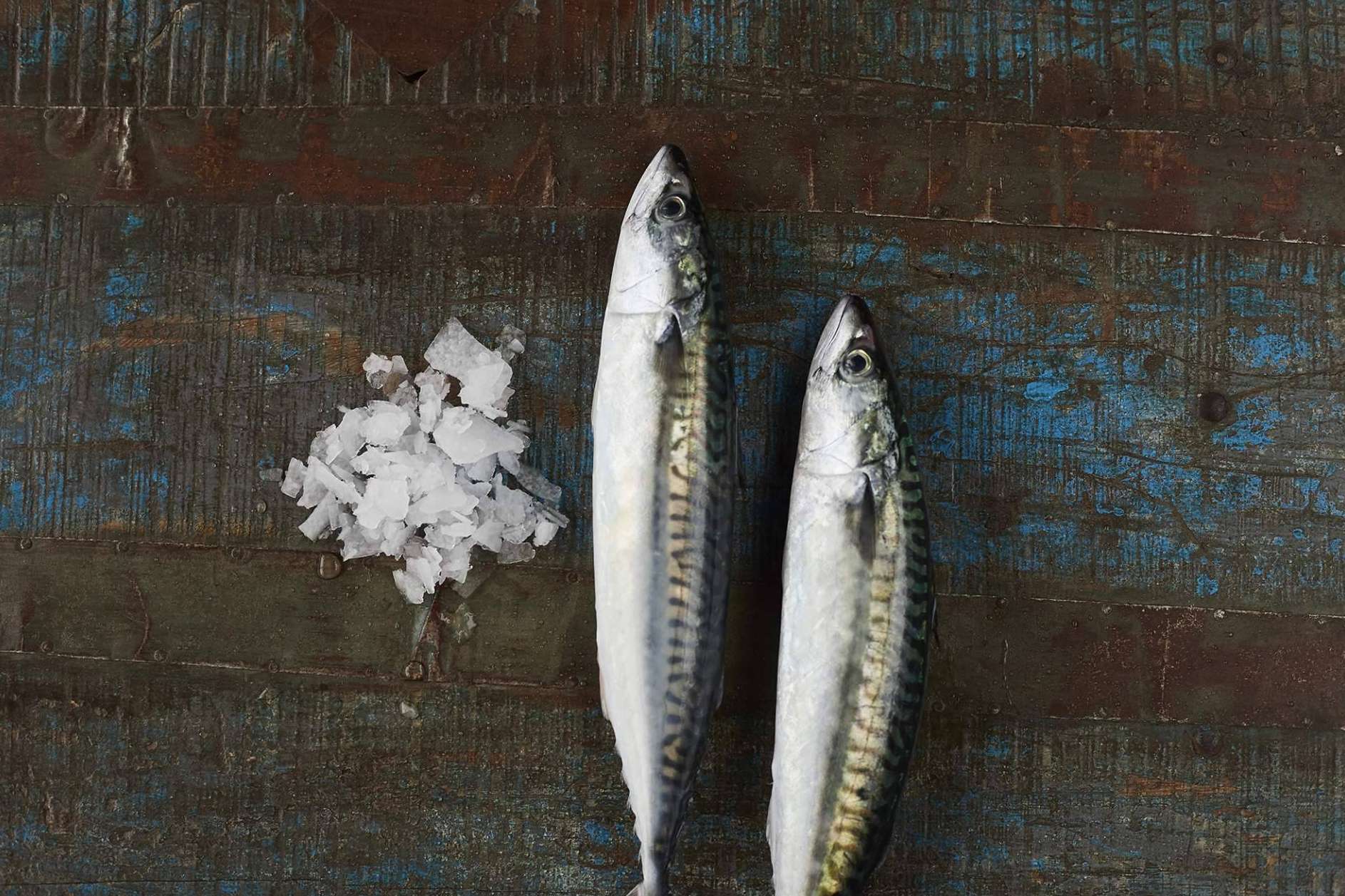 Las ventajas del pescado fresco. ¿Por qué elegir SINESCAMA?