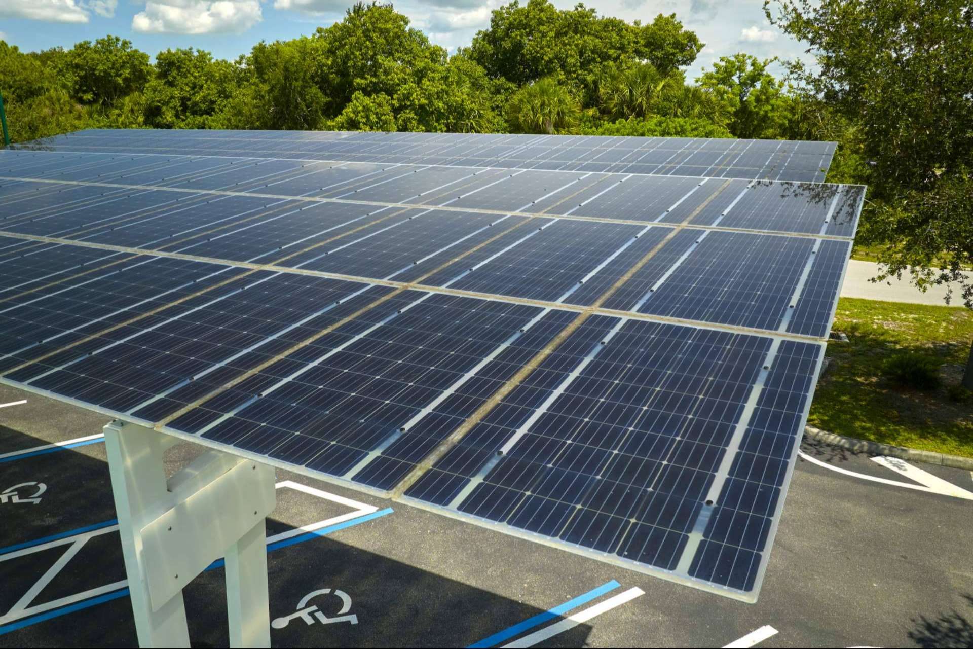 Zaragoza apuesta por un futuro verde, nuevo contrato de energía 100 % renovable para edificios municipales