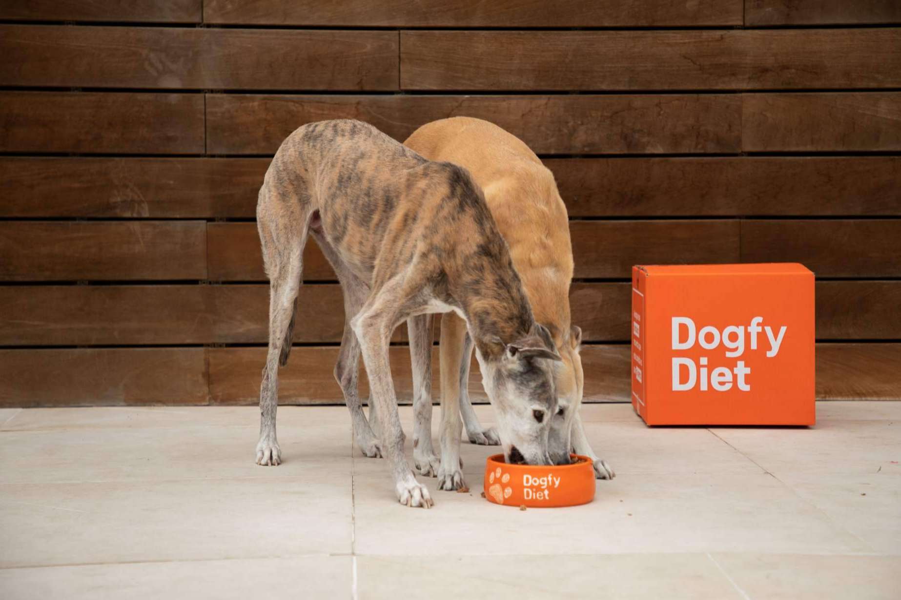Dogfy Diet prepara comida natural para garantizar la salud del perro
