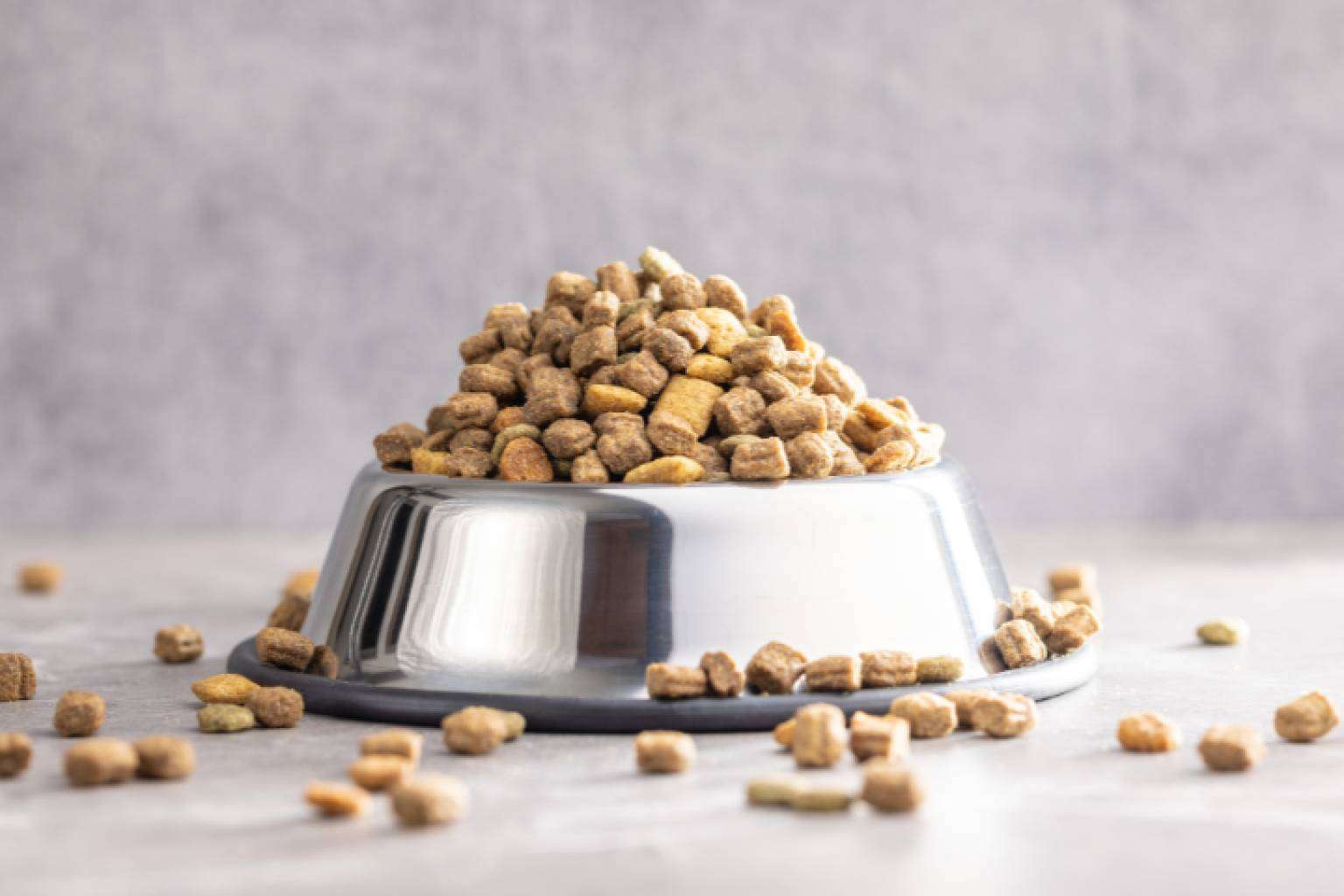 Proteínas hidrolizadas, una solución eficaz para la alimentación de mascotas con sensibilidades