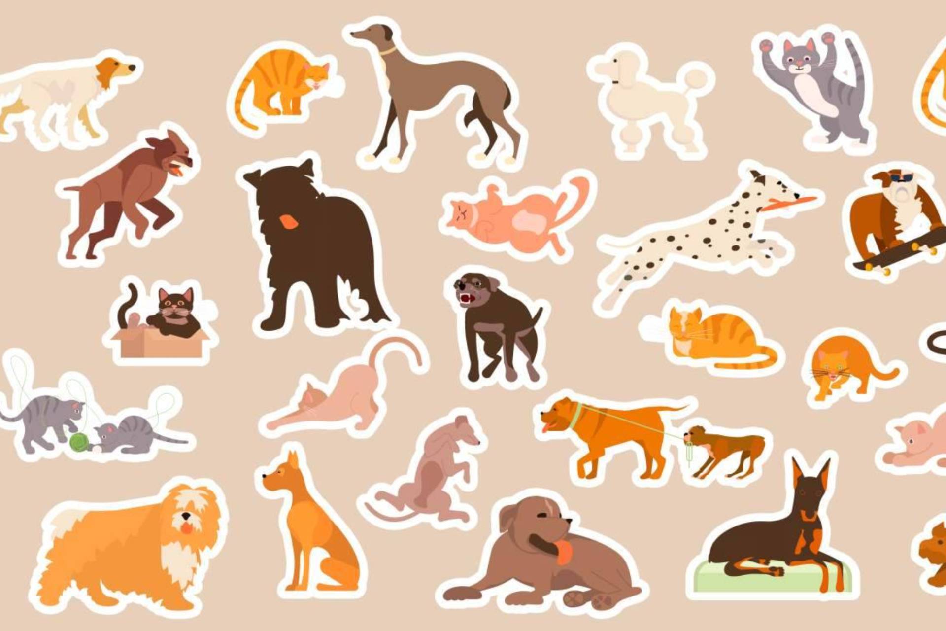 Inmortalizar mascotas gracias a la pintura de Eva Carballares