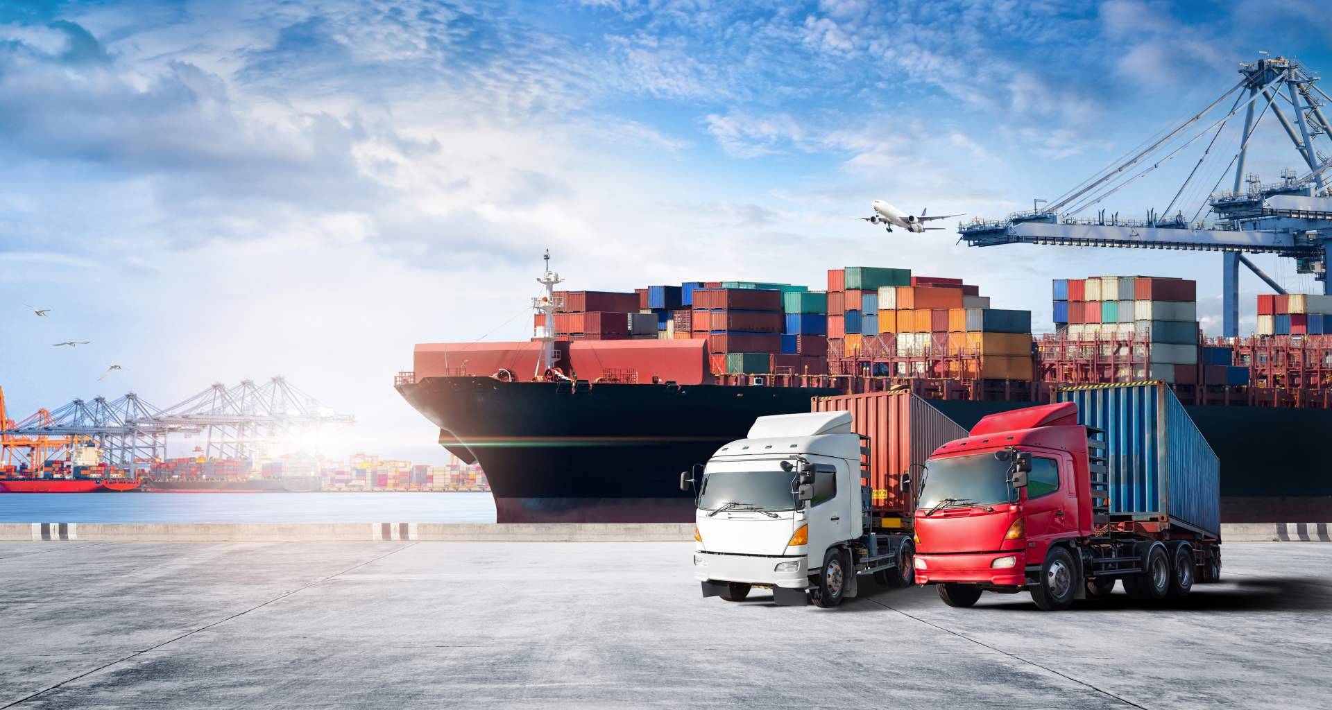 Transvolando expone las ventajas de contratar una agencia de transporte internacional