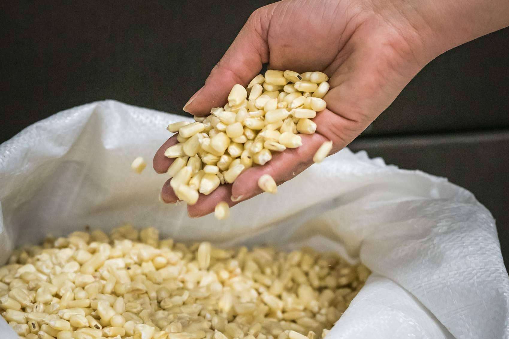 Comprar productos mexicanos online, en la tienda especializada de Maíz Maya