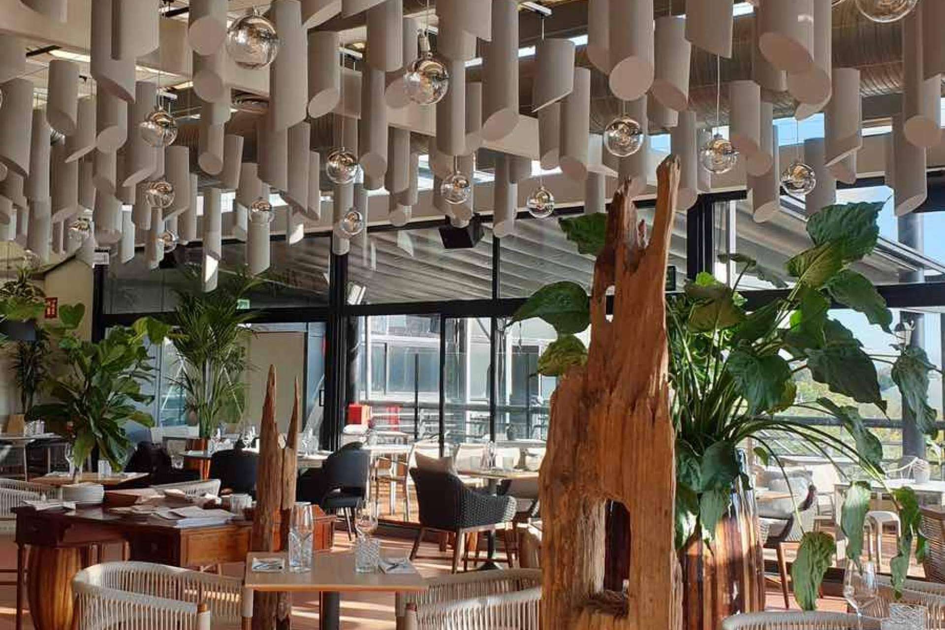 Absotec elimina el ruido en restaurantes para hacerlos más confortables