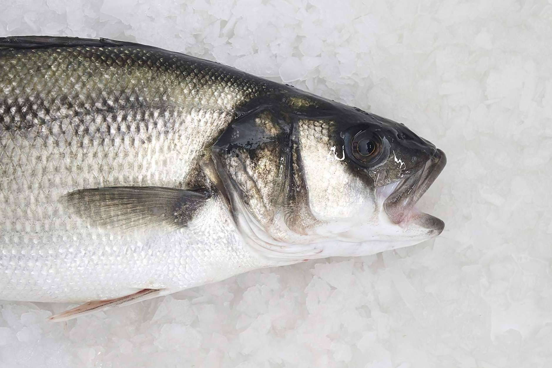 Volver a la rutina saludable con pescado blanco, una de las mejores opciones tras las vacaciones