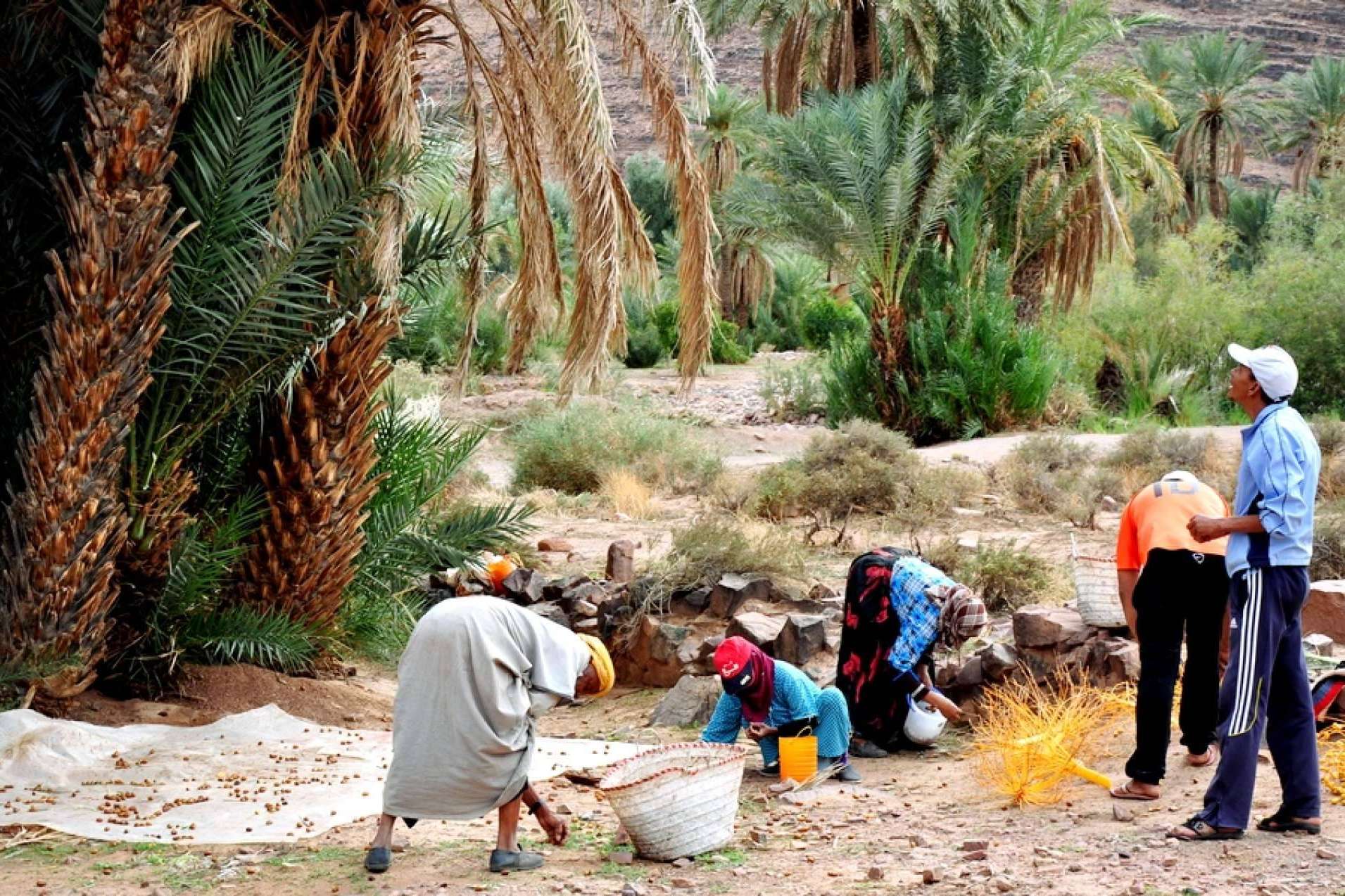 Viajes privados para conocer las zonas desconocidas de Marruecos