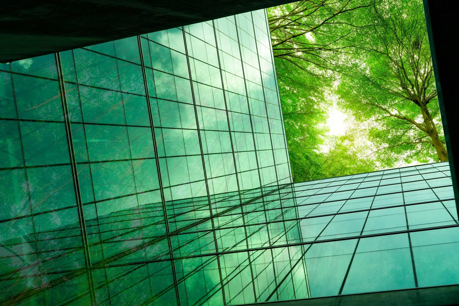 Demos Lab presenta su proyecto 'El Futuro es Clima', una macro encuesta realizada a 9.000 jóvenes