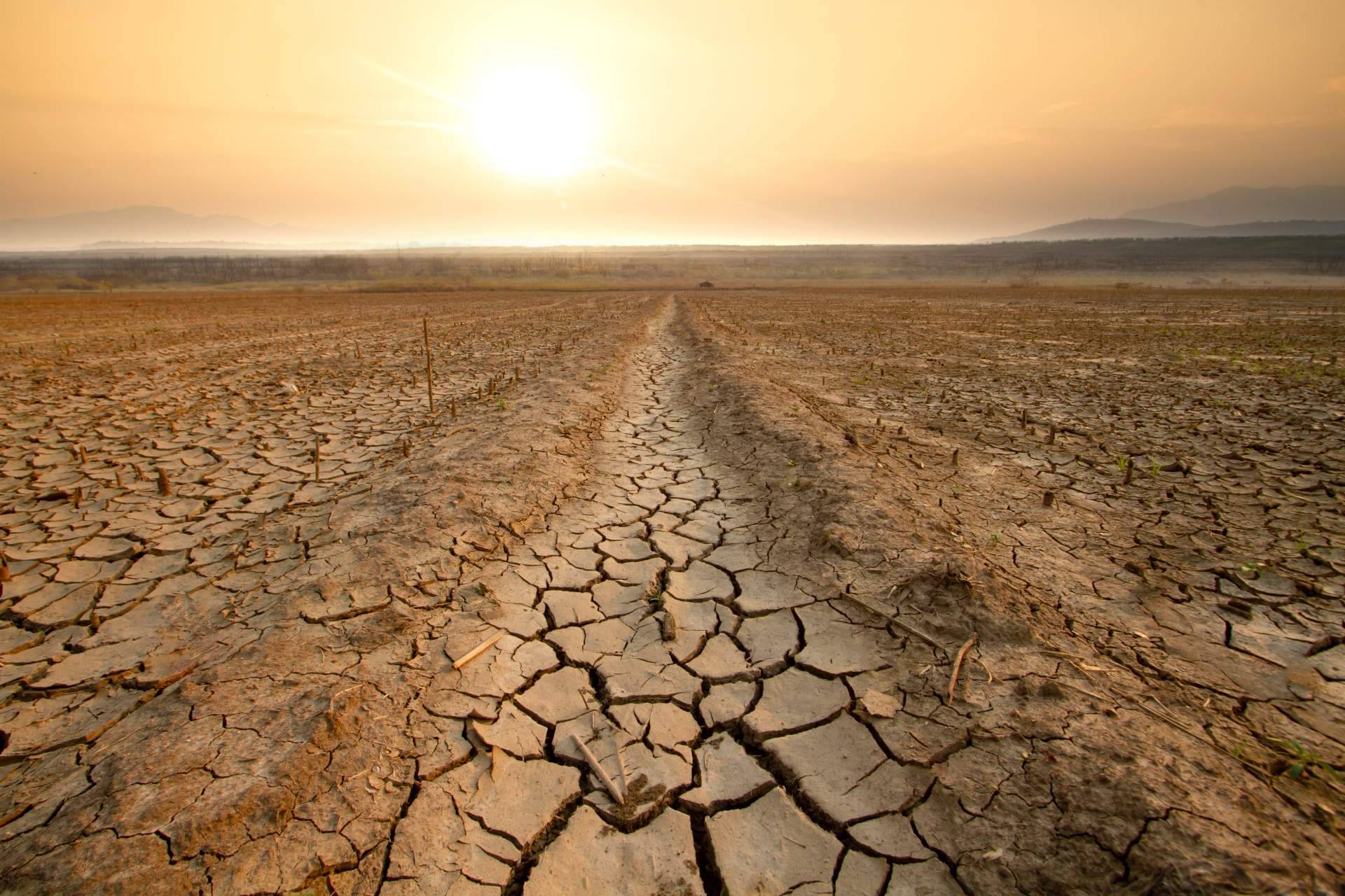 Jóvenes del Metaforum del Clima buscan influir en la legislación ambiental en España