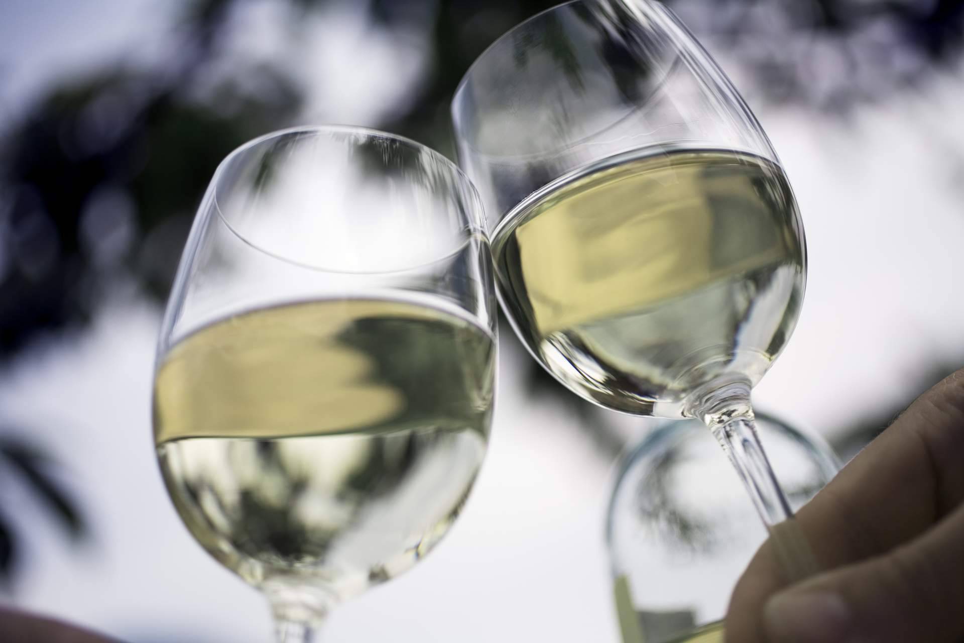 Naturelovers Wines impulsa los vinos ecológicos con técnicas de producción sostenibles