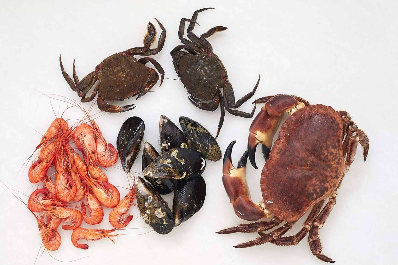 Marisco en Navidad; ¿Por qué comprar el marisco ahora y no dejarlo para el último momento?