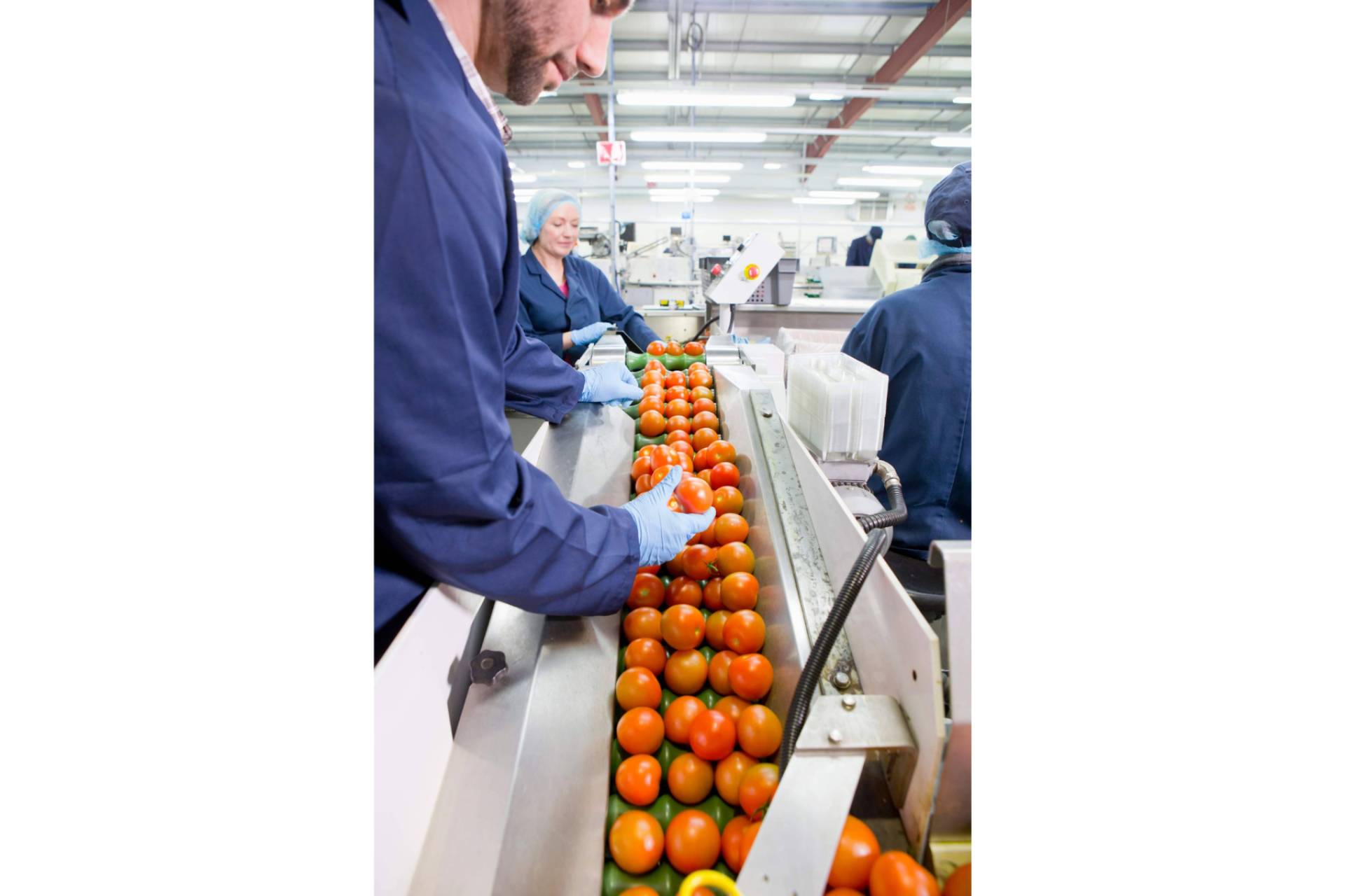 Baor Products anuncia la construcción de una nueva planta de producción en Molina de Segura para 2025