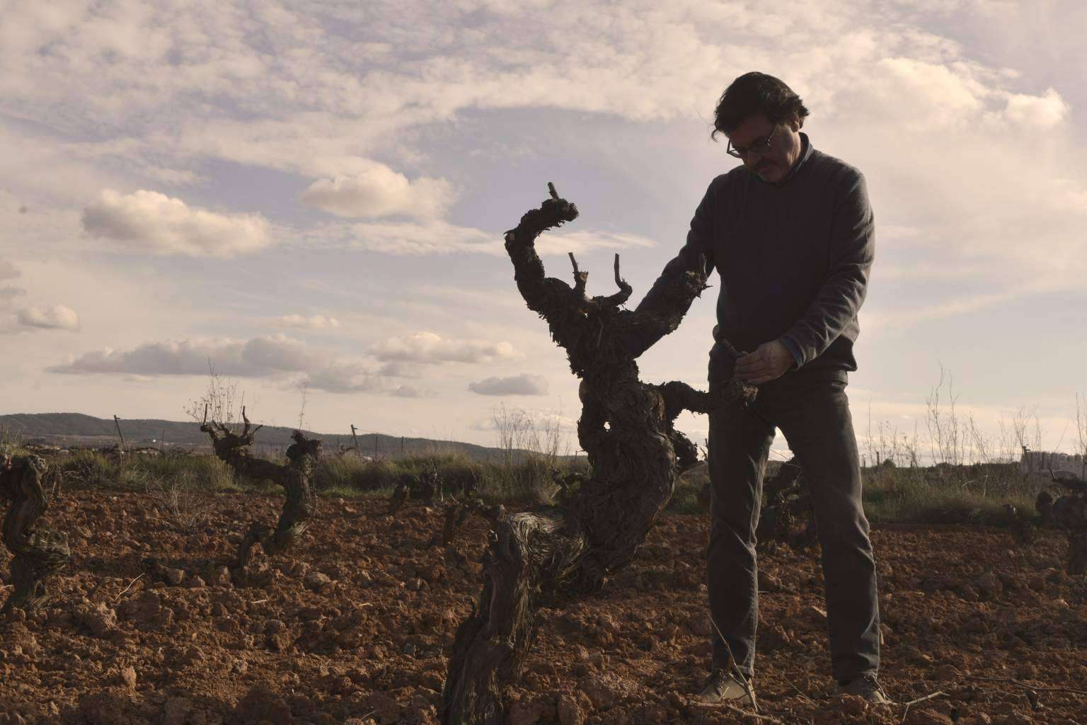 Bodegas Vegalfaro lidera el camino en vinos ecológicos y de calidad certificada