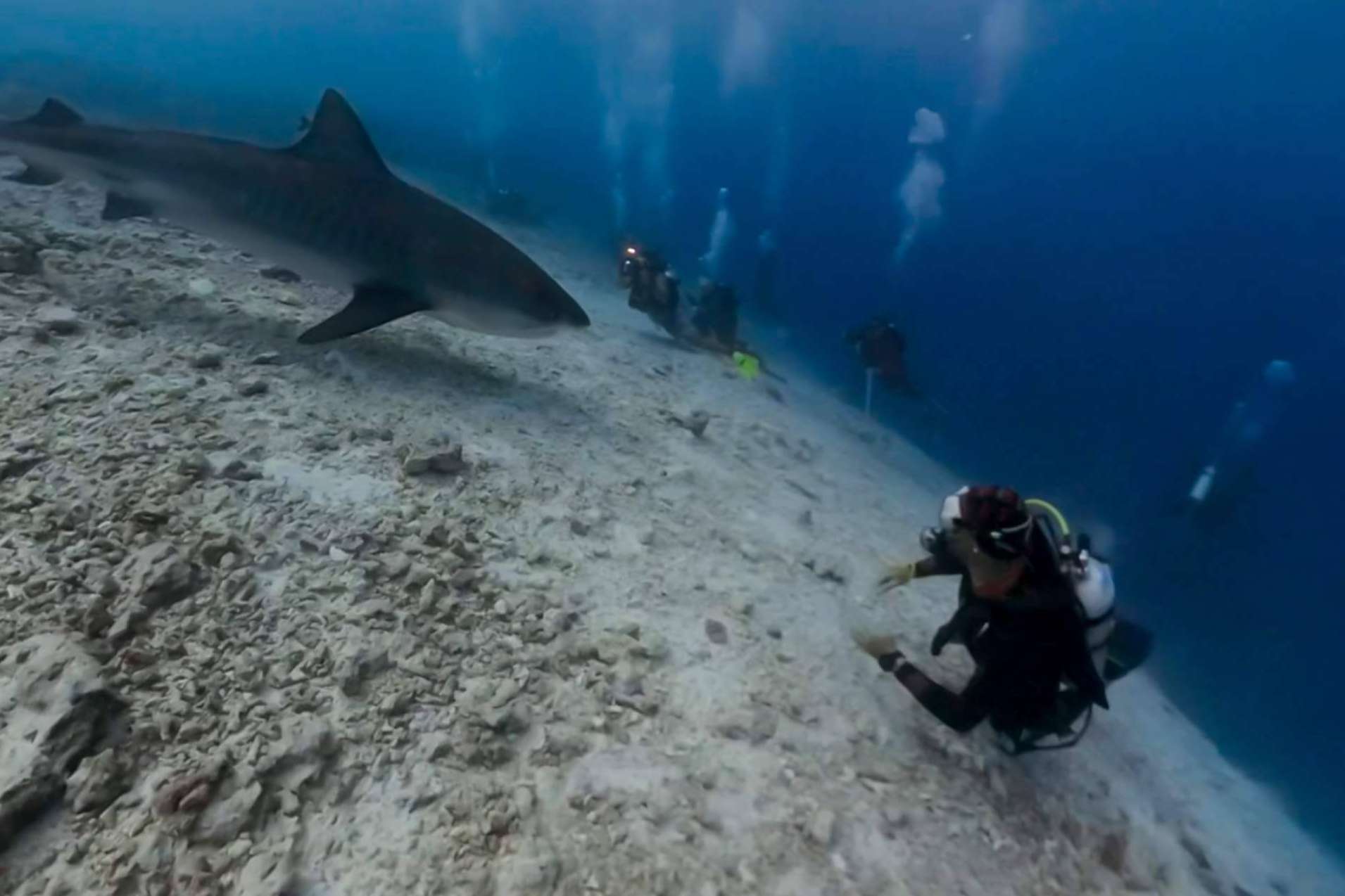 Rasdhoo y Fuvahmulah, los mejores destinos de buceo en Maldivas según Drop Dive Maldives