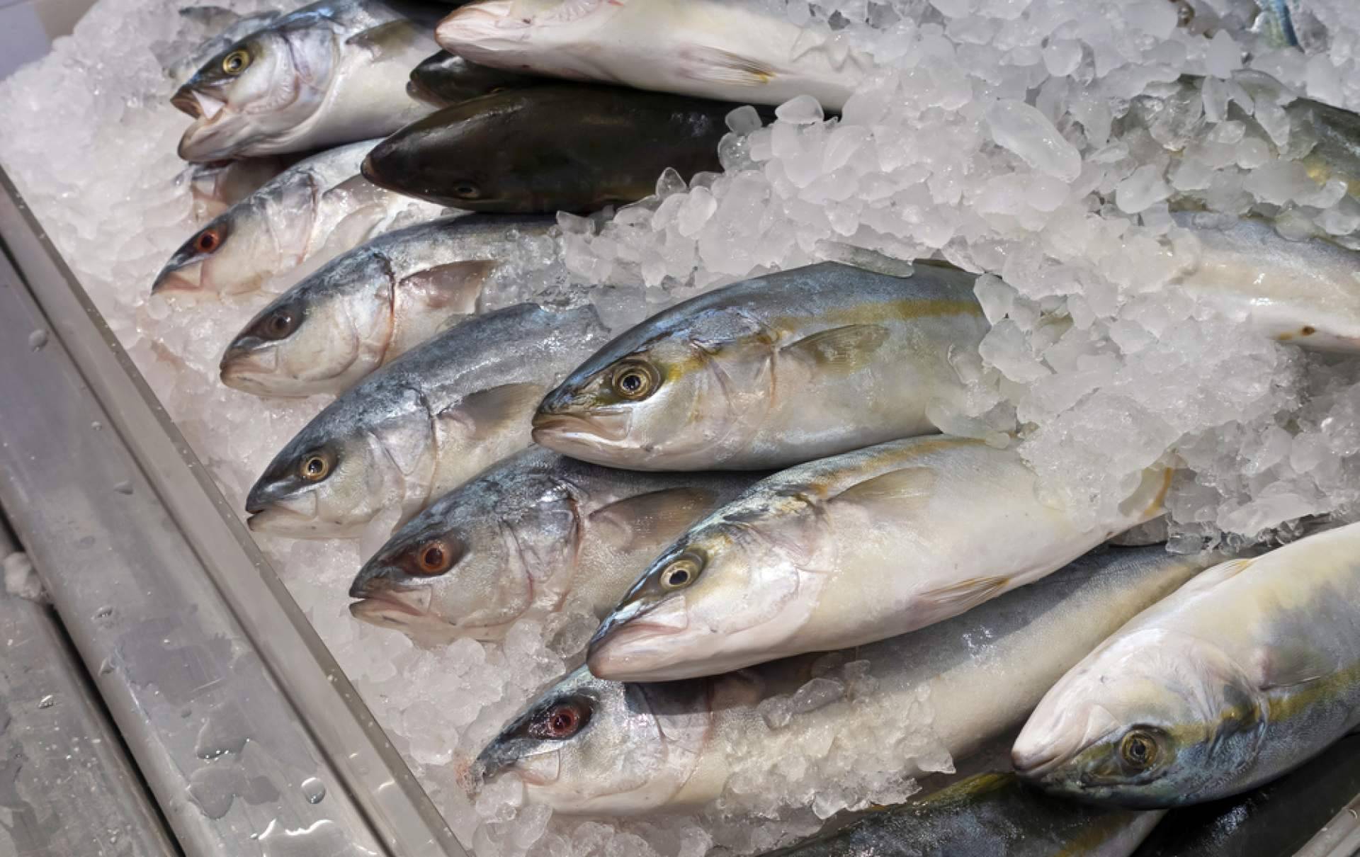 Pescadería Younes Ceuta, frescura y calidad en cada producto del mar