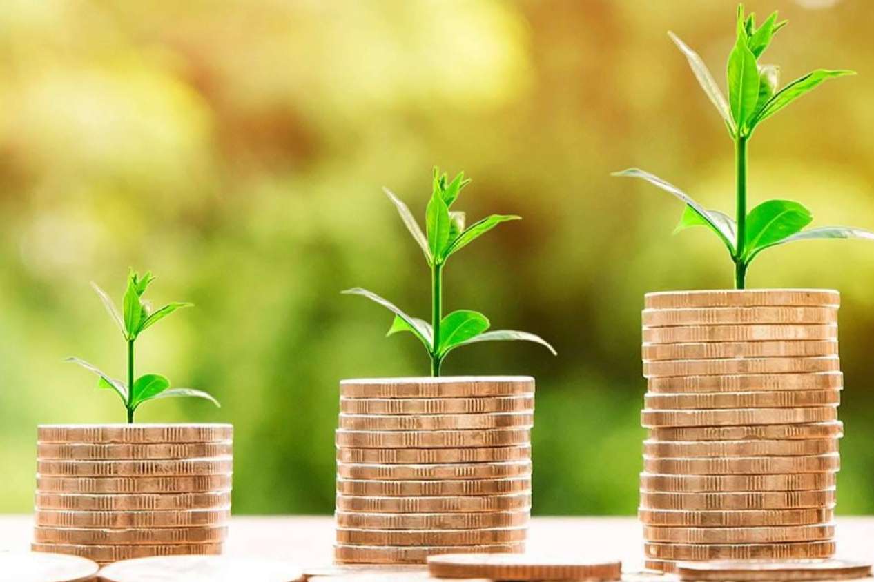 El consultor financiero; la diferencia entre el éxito o el estancamiento de una PYME
