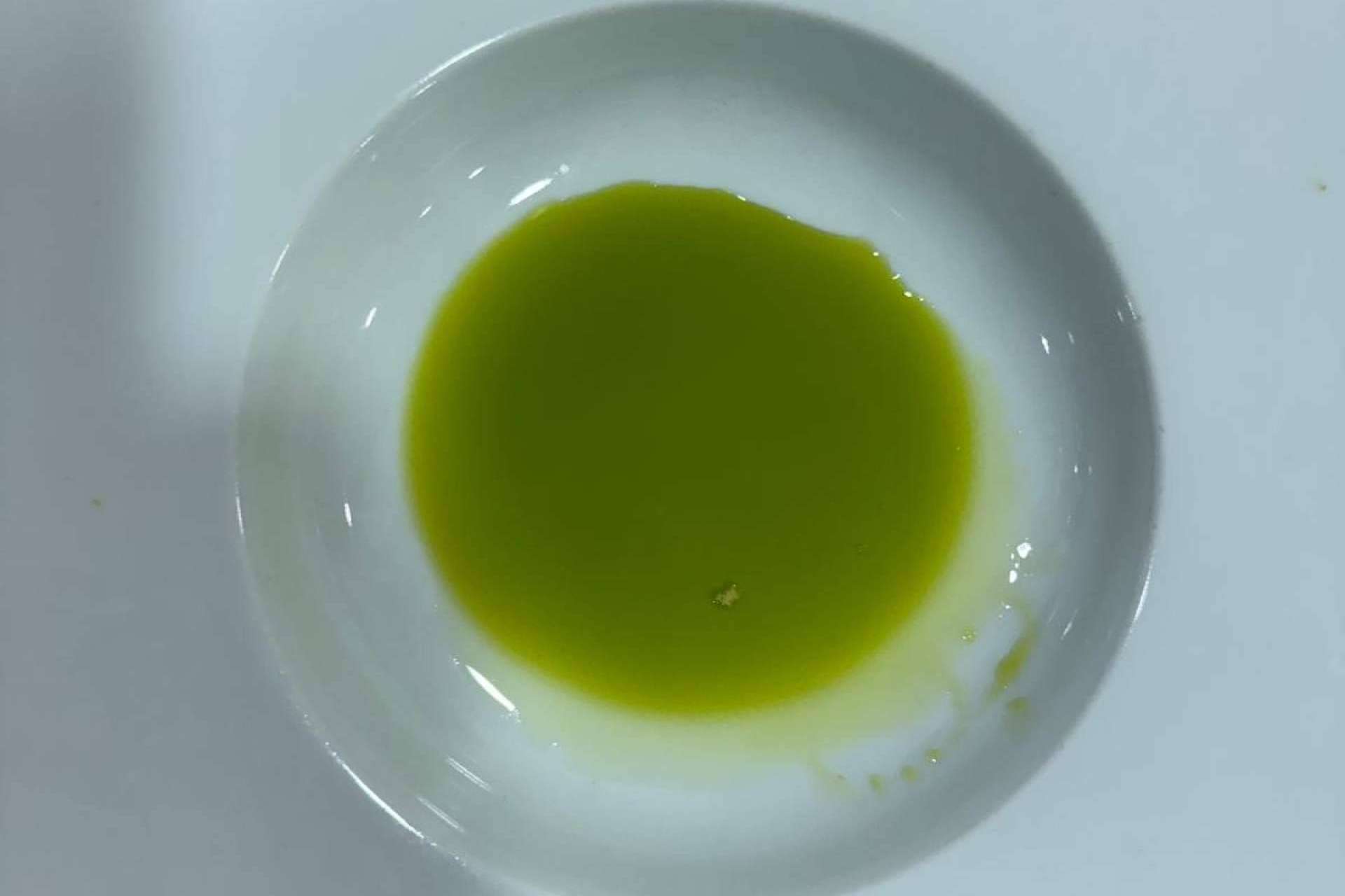 Cómo se elabora un aceite de oliva virgen extra gourmet, la visión de Tercio de las Torres