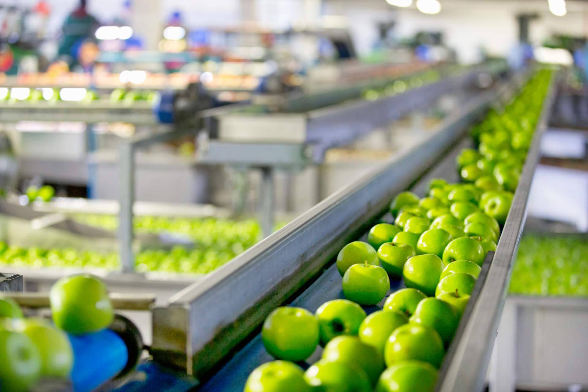 Baor Products consolida su posición en la industria de concentrados de frutas en España