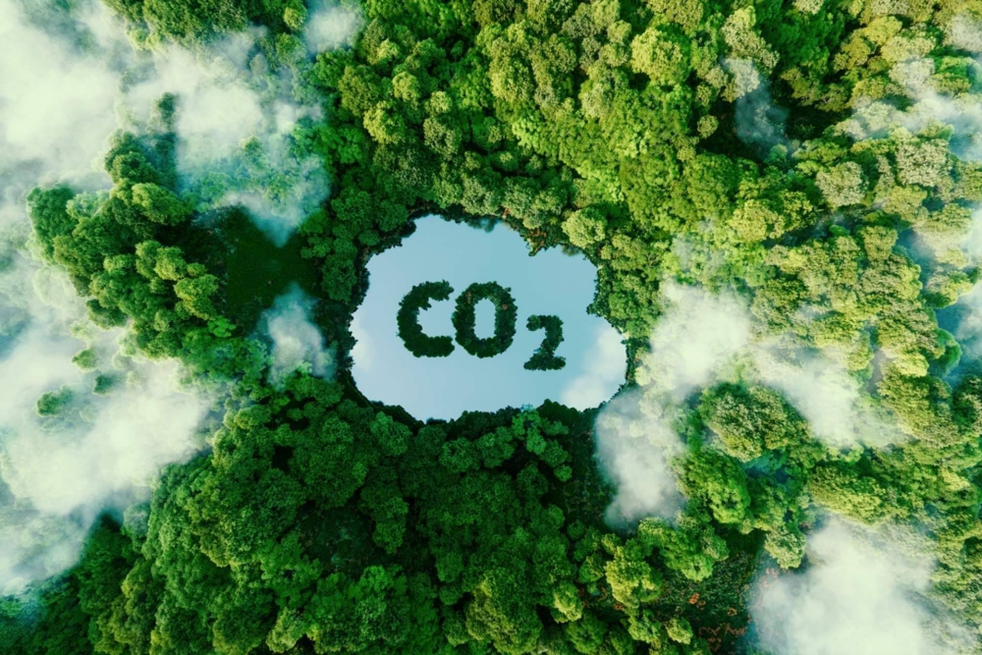 Huella de carbono y turismo, cómo viajar con responsabilidad ambiental